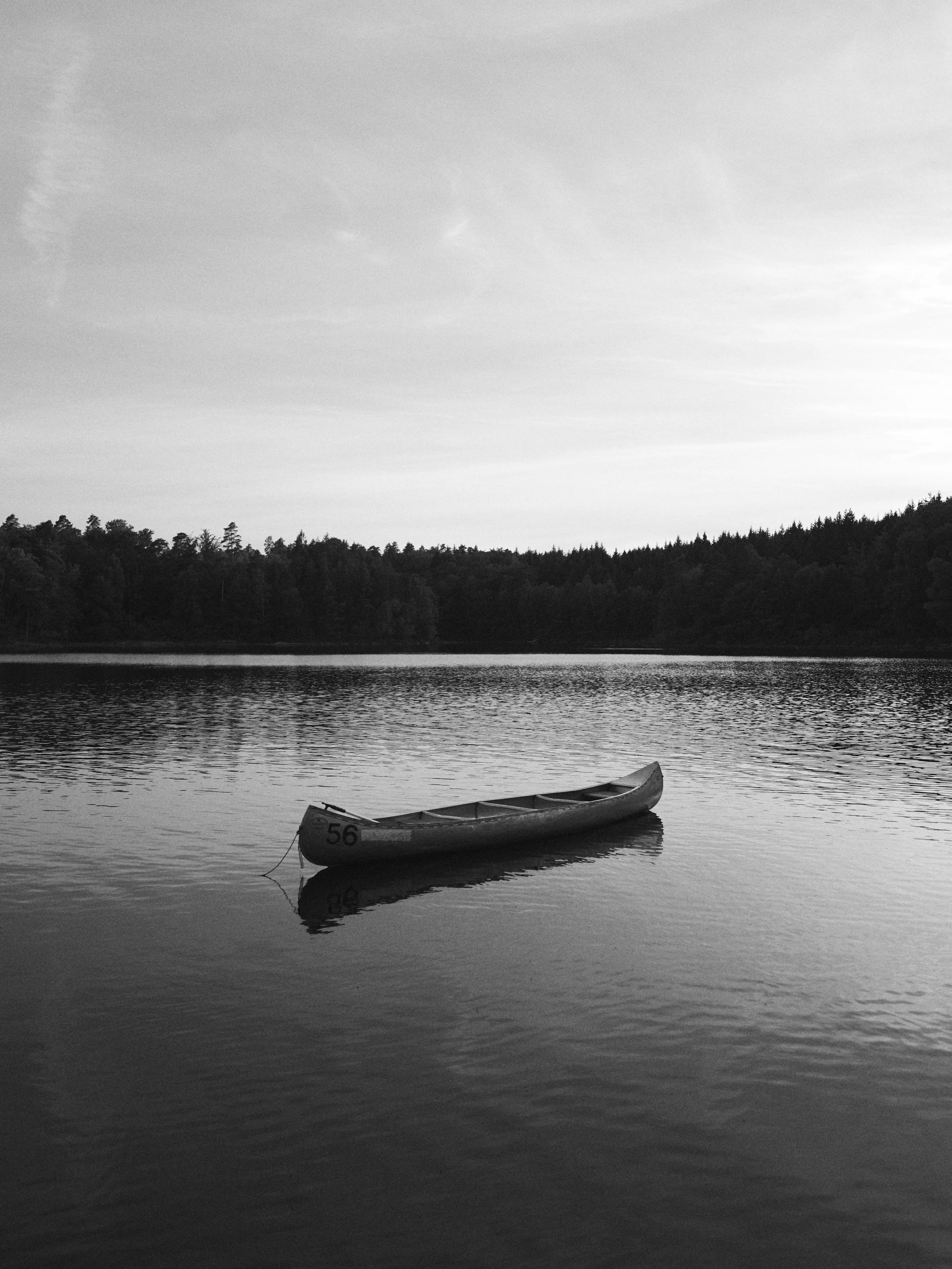 L1031628.jpg
