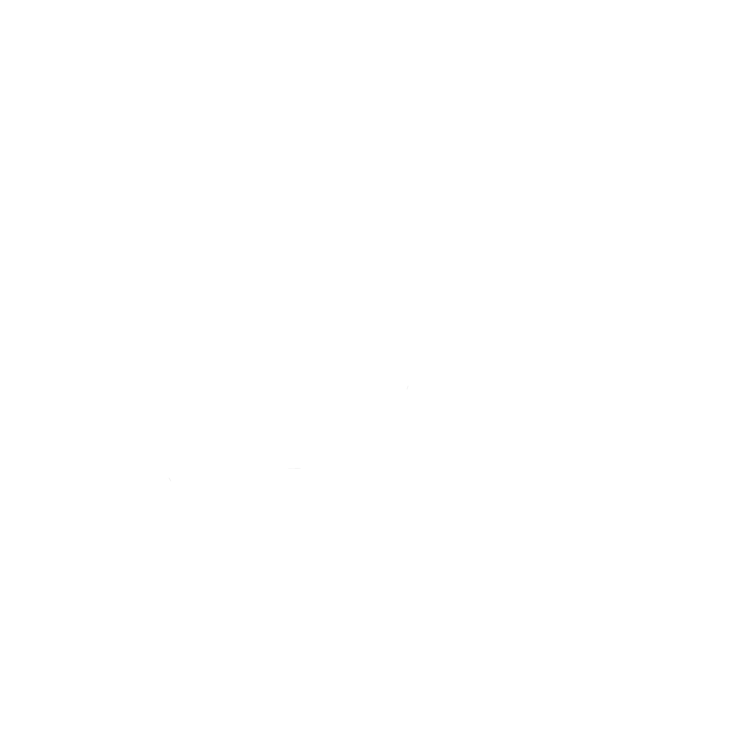 Logo of Carmarthenshire County Council featuring a stylized dragon with wings, the words "Cyngor Sir Gâr" above, and "Carmarthenshire County Council" below, in black and white.