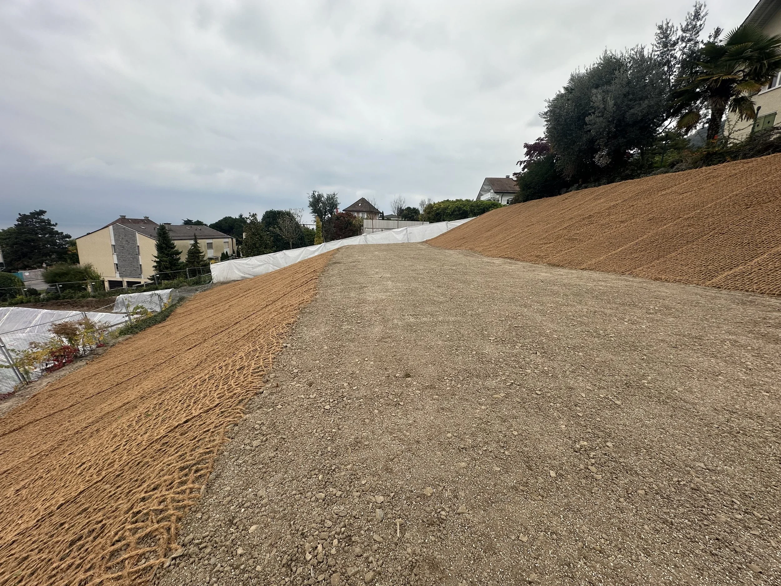 Semis CORN 22 - 2025