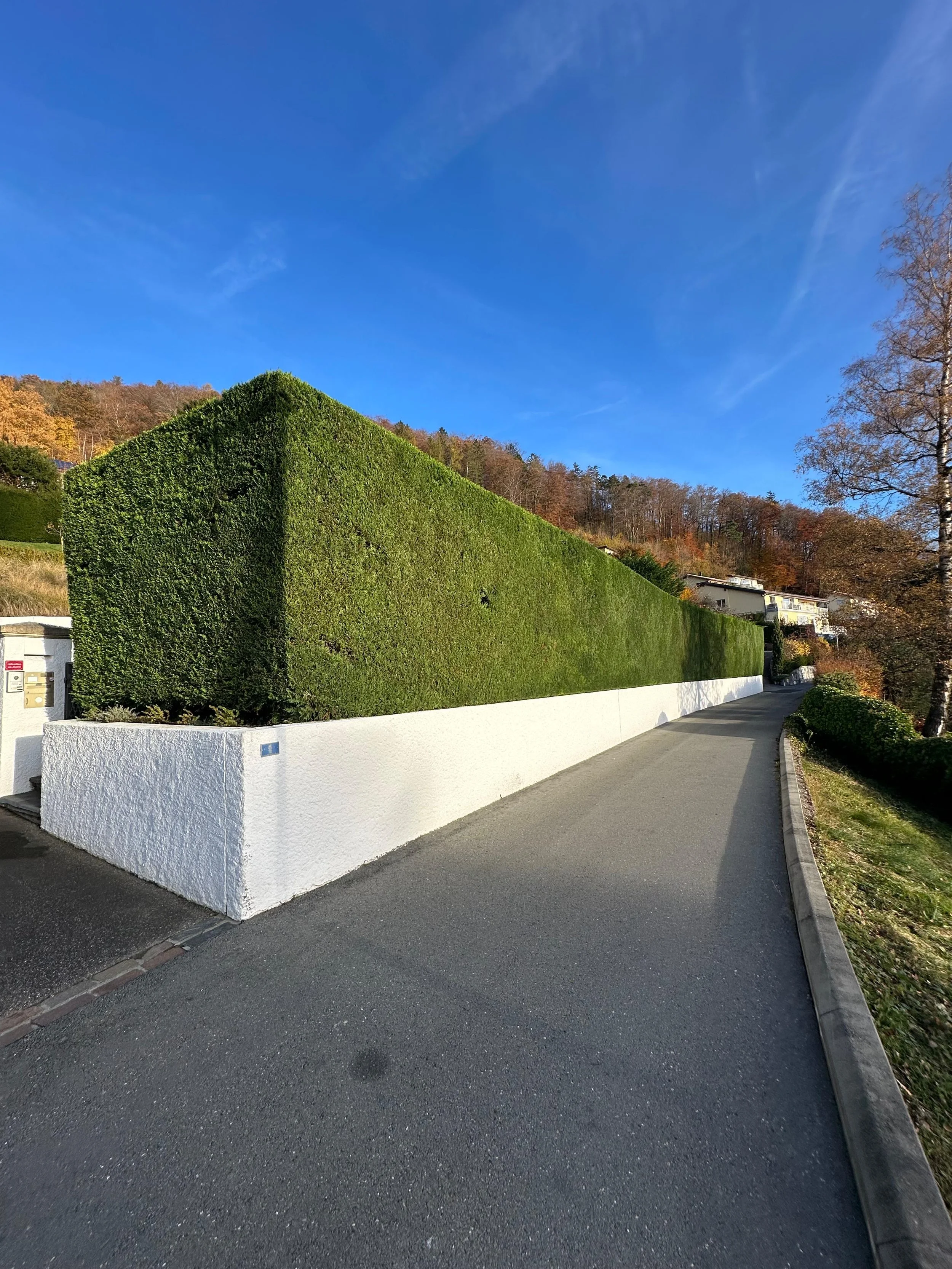 Taille - Le Signal - 2025