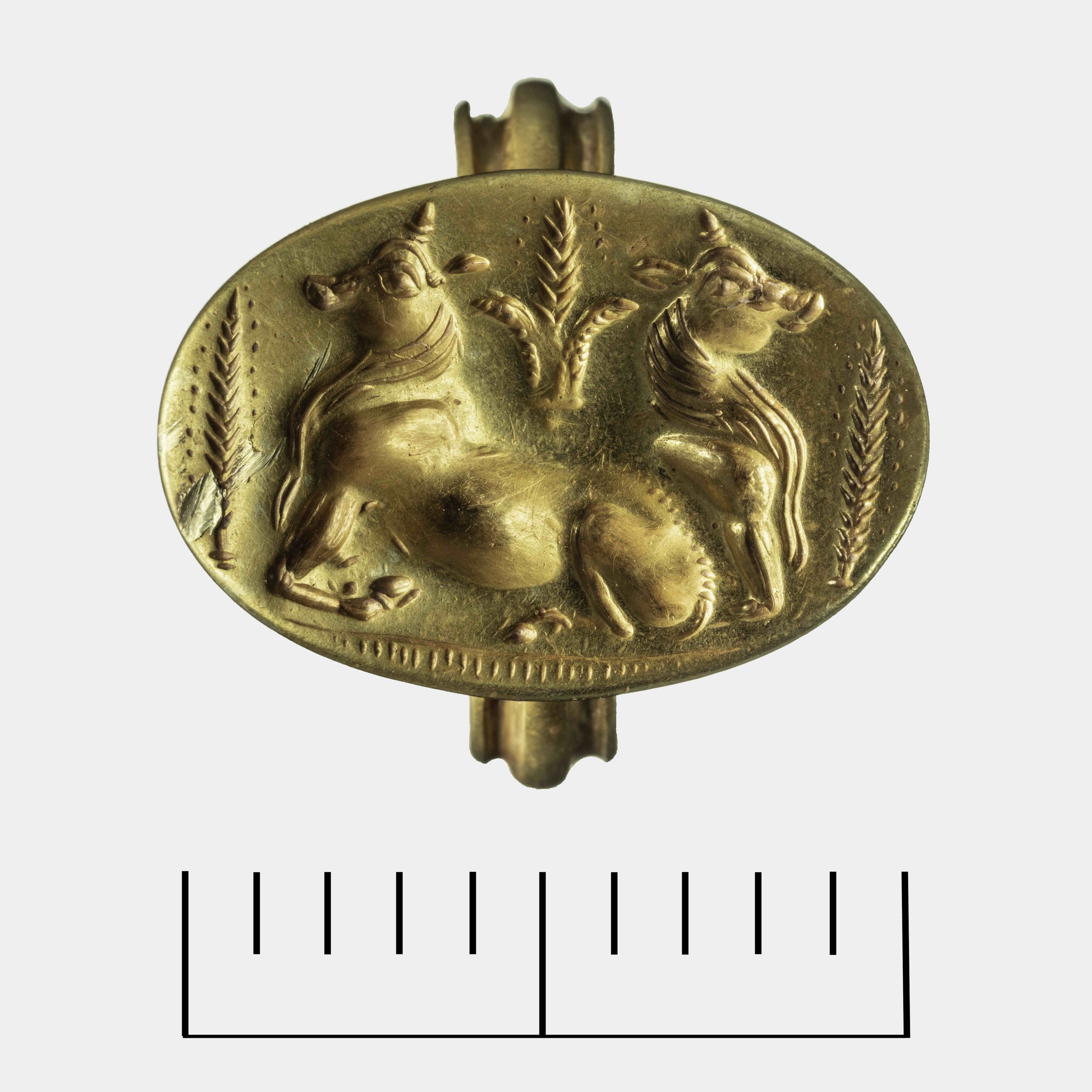 Fig. 2. bovine gold ring.jpg