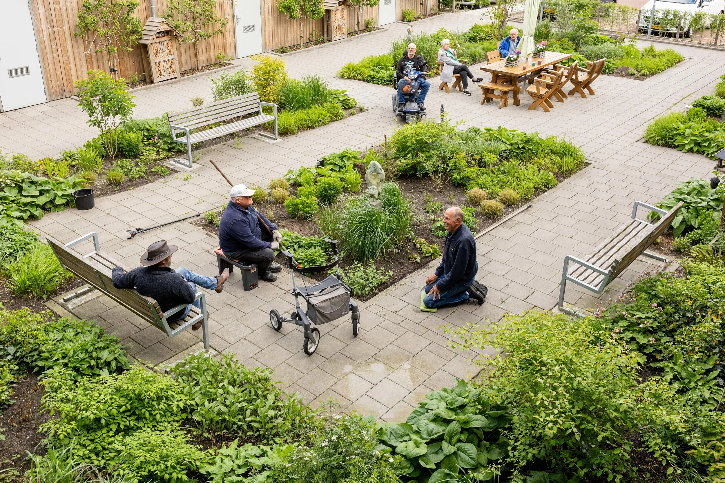 Greening the common garden