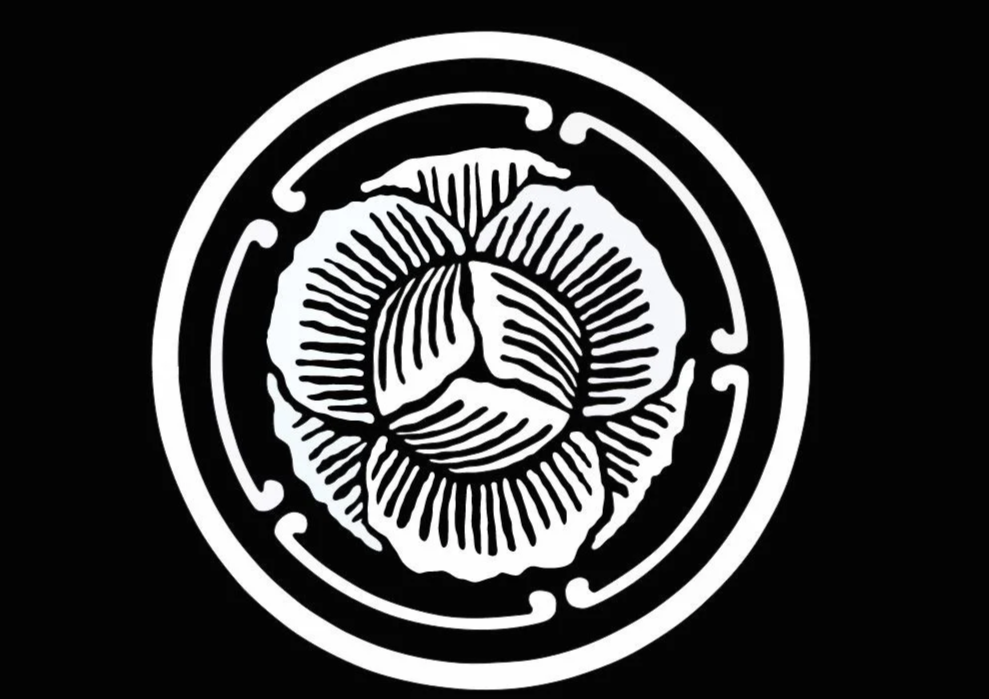 Menu van Kool Design Jewelry met sieradencategorieën zoals vingerafdrukringen, hartslagringen, geluidsgolf ringen, profielringen, titanium ringen, houten ringen, en Tahiti parels.