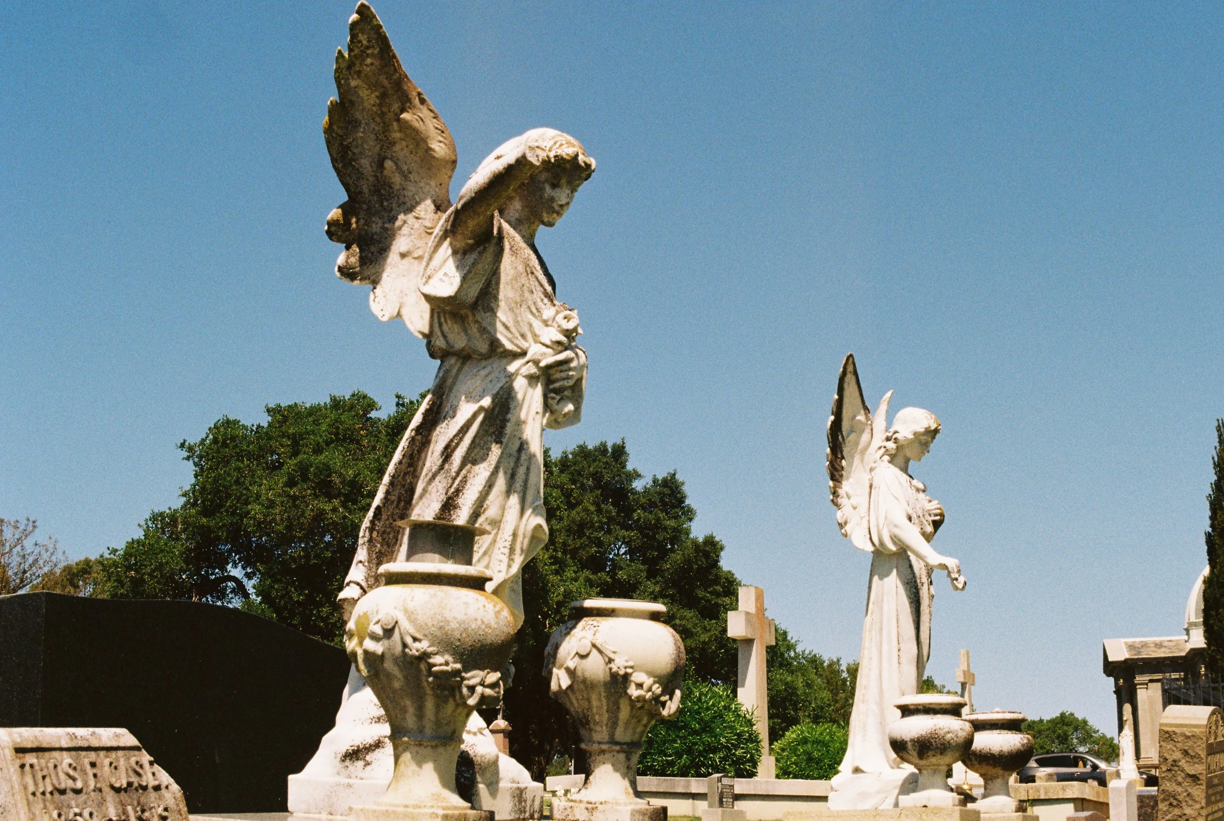 Shot on a Canon AE-1 Program Using Kodak Gold 200