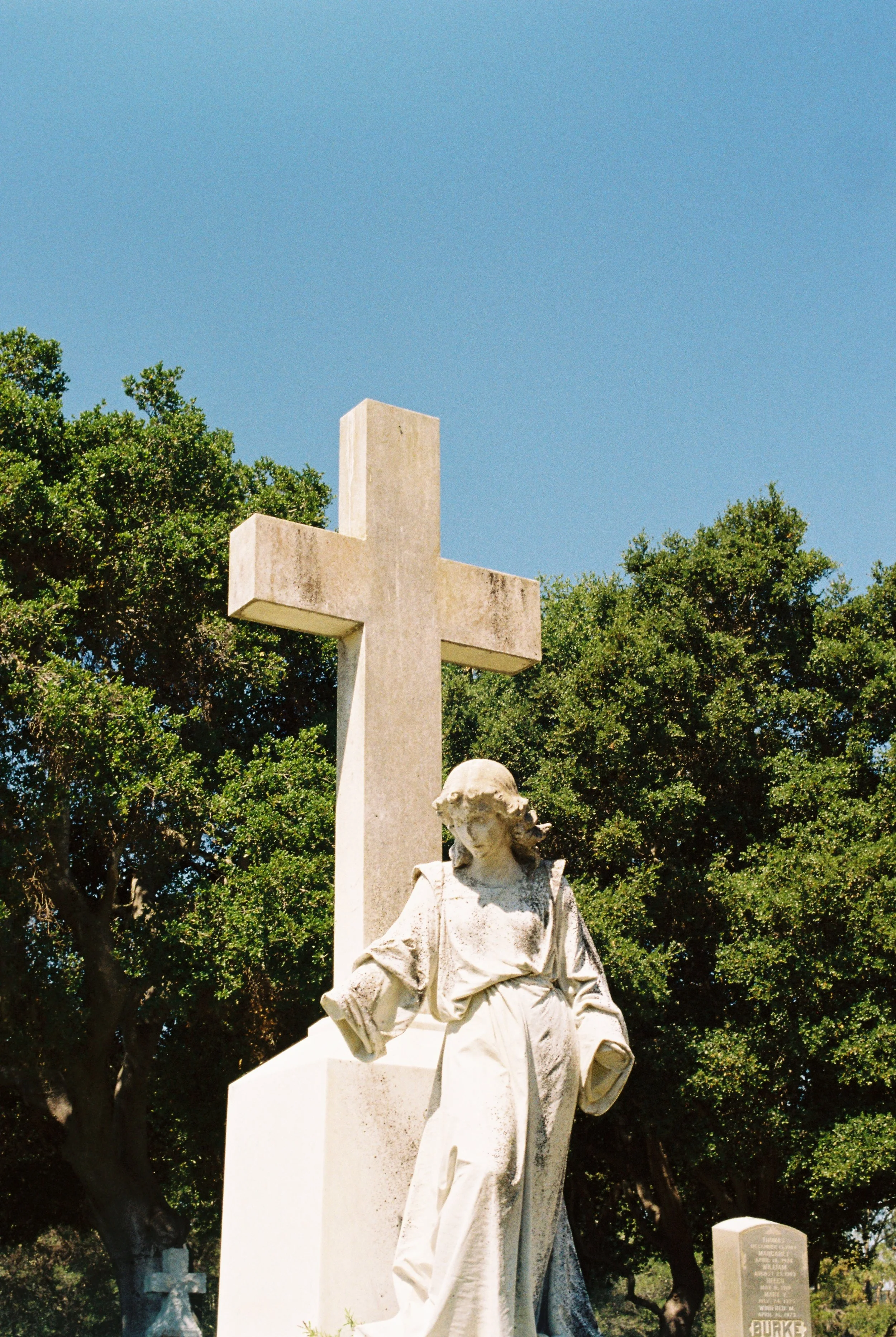 Shot on a Canon AE-1 Program Using Kodak Gold 200