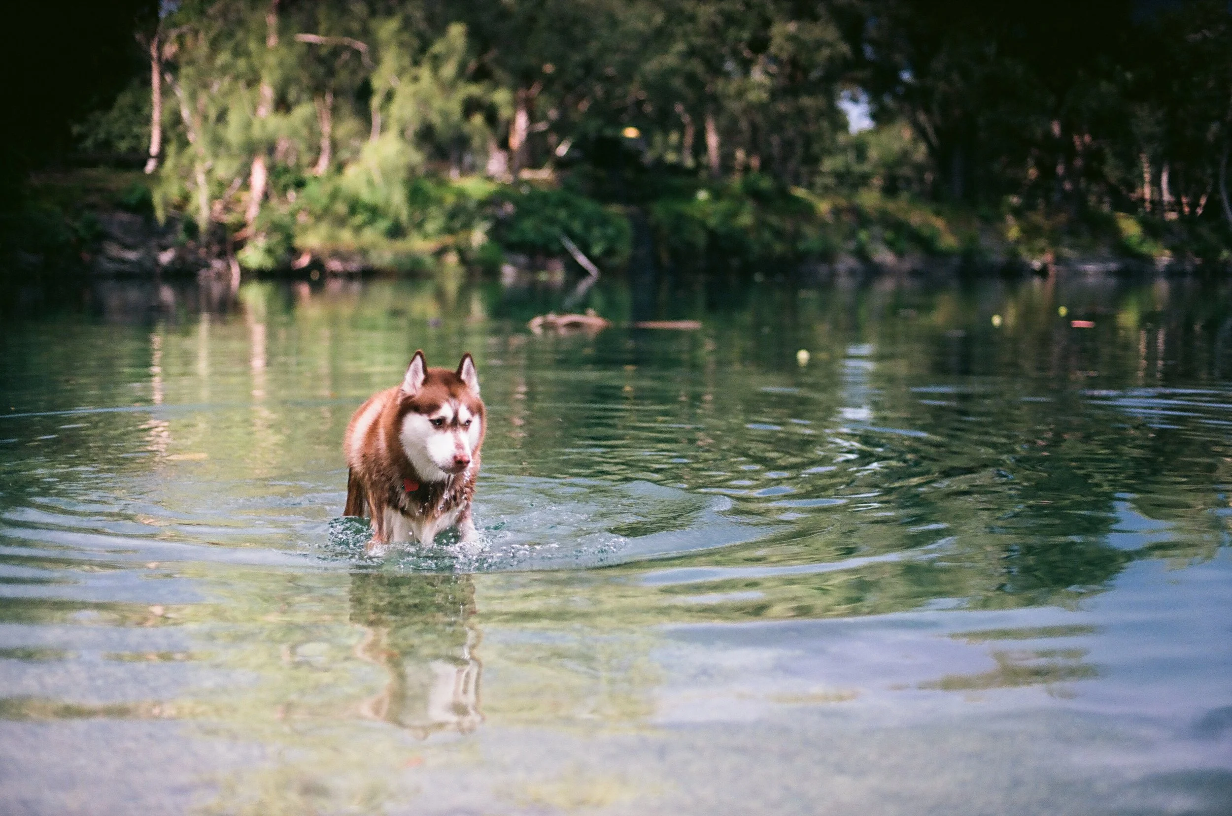 Shot on a Canon AE-1 Program Using Extar 100