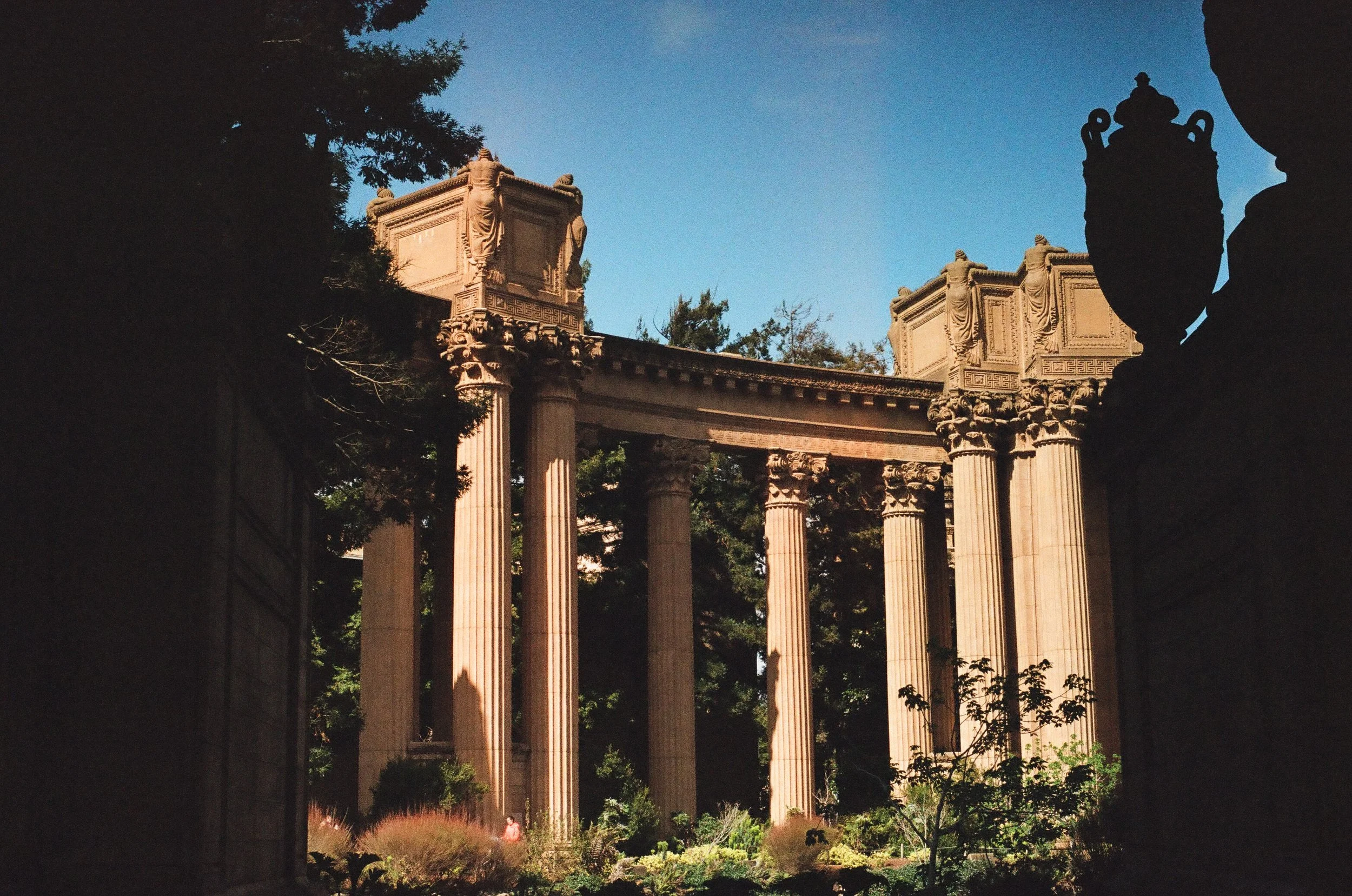 Shot on a Canon AE-1 Program Using Portra 800