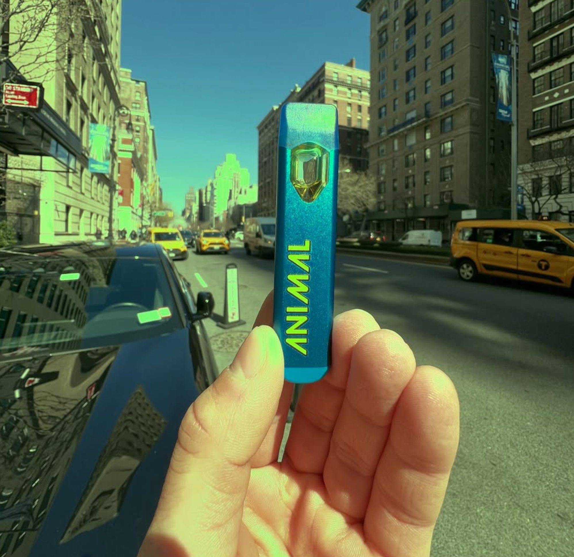 Hand holding a blue keycard with the logo and text 'ANIMAL' on a city street with yellow taxis and buildings.