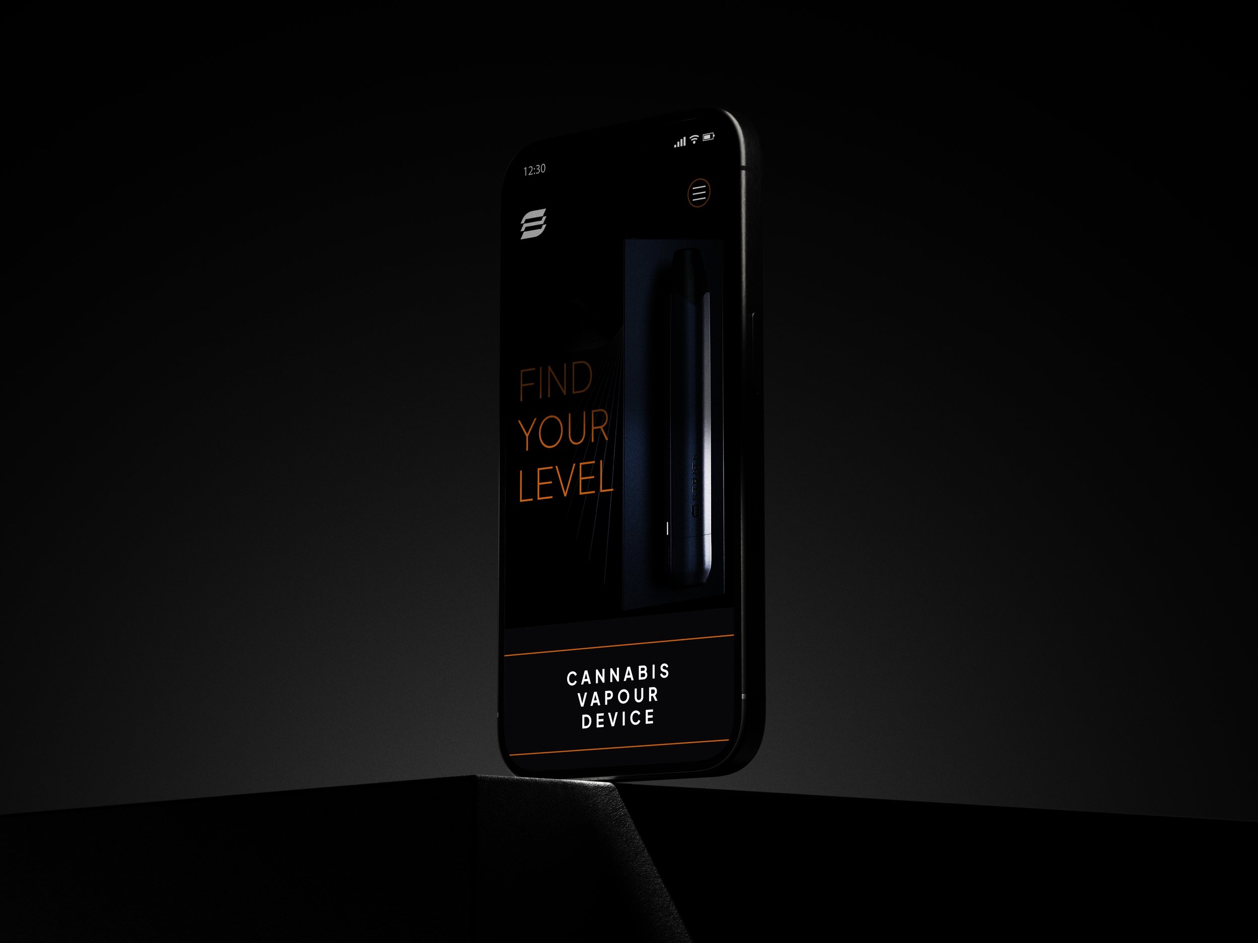 Strata_Brand in action Web mobile.jpg