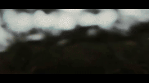 giphy (3).gif