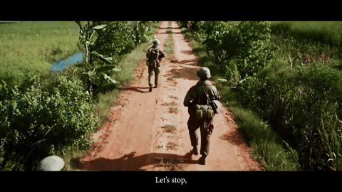giphy.gif