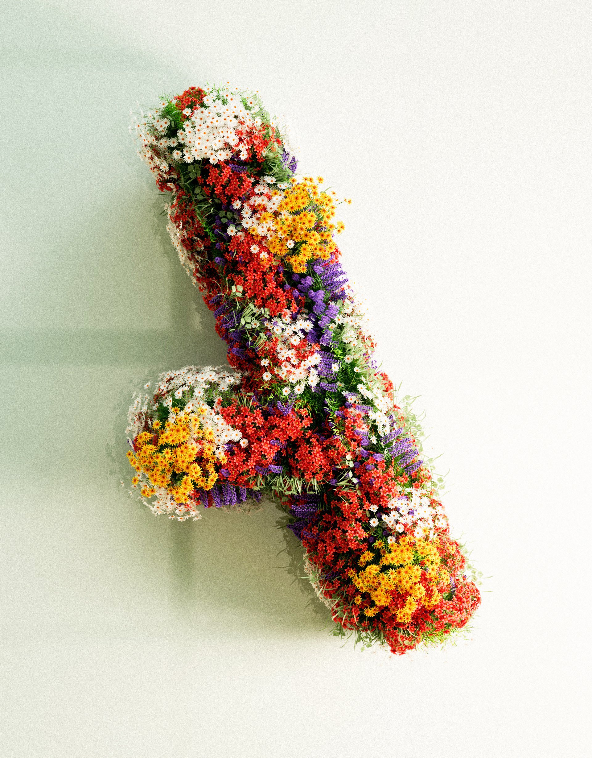 Anomaly+Flower+2022.jpg