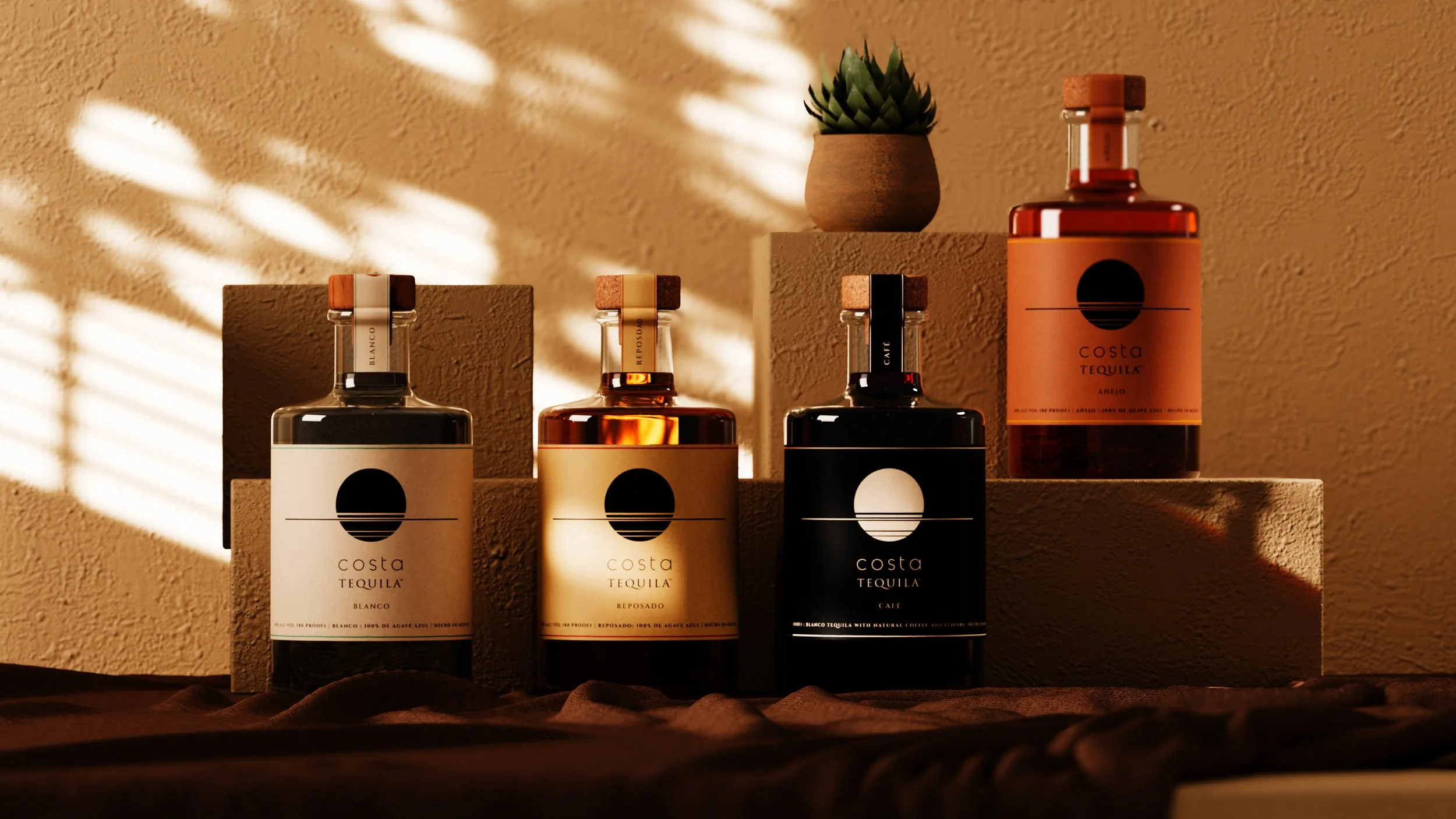 Four bottles of Costa Tequila with different labels and colors, arranged on a textured surface with beige blocks and a small potted succulent plant in the background, illuminated by warm sunlight and shadows.