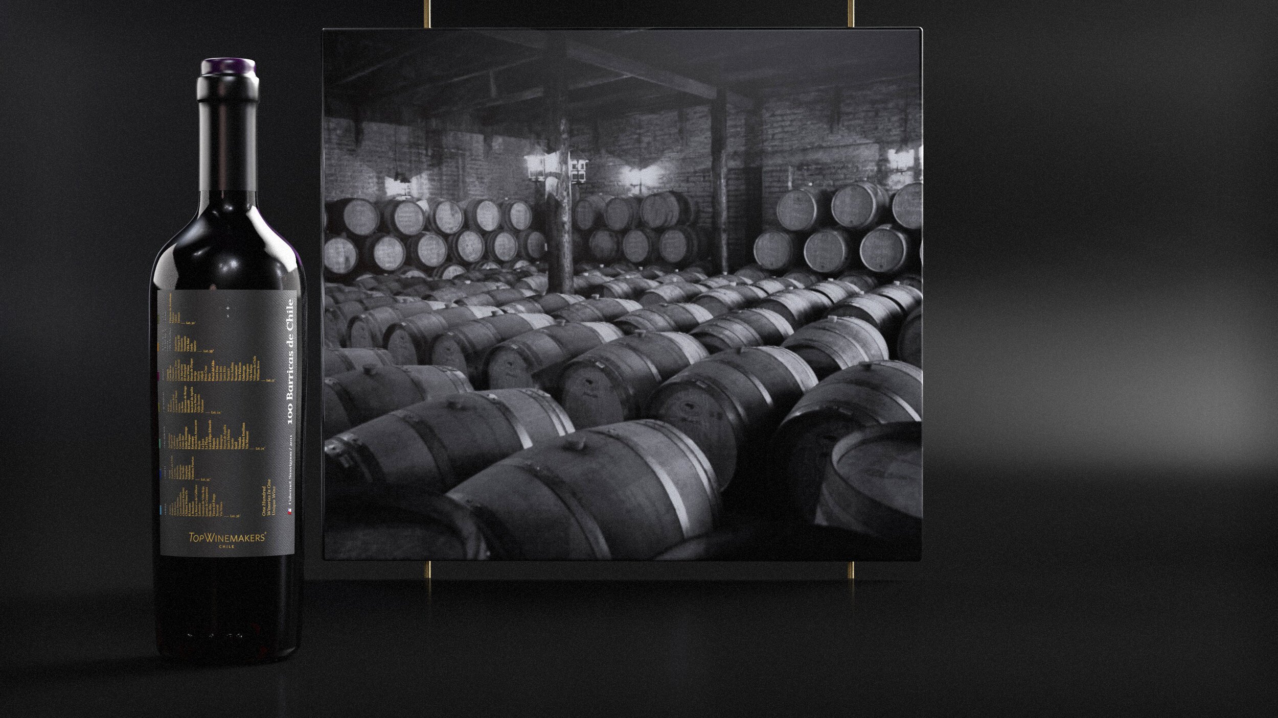 Topwinemakers_100+Barricas.jpg