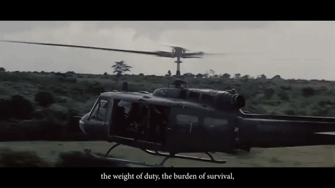 giphy (6).gif