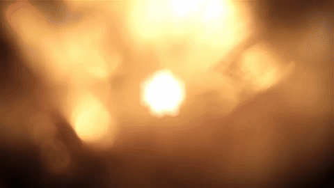 giphy (2).gif