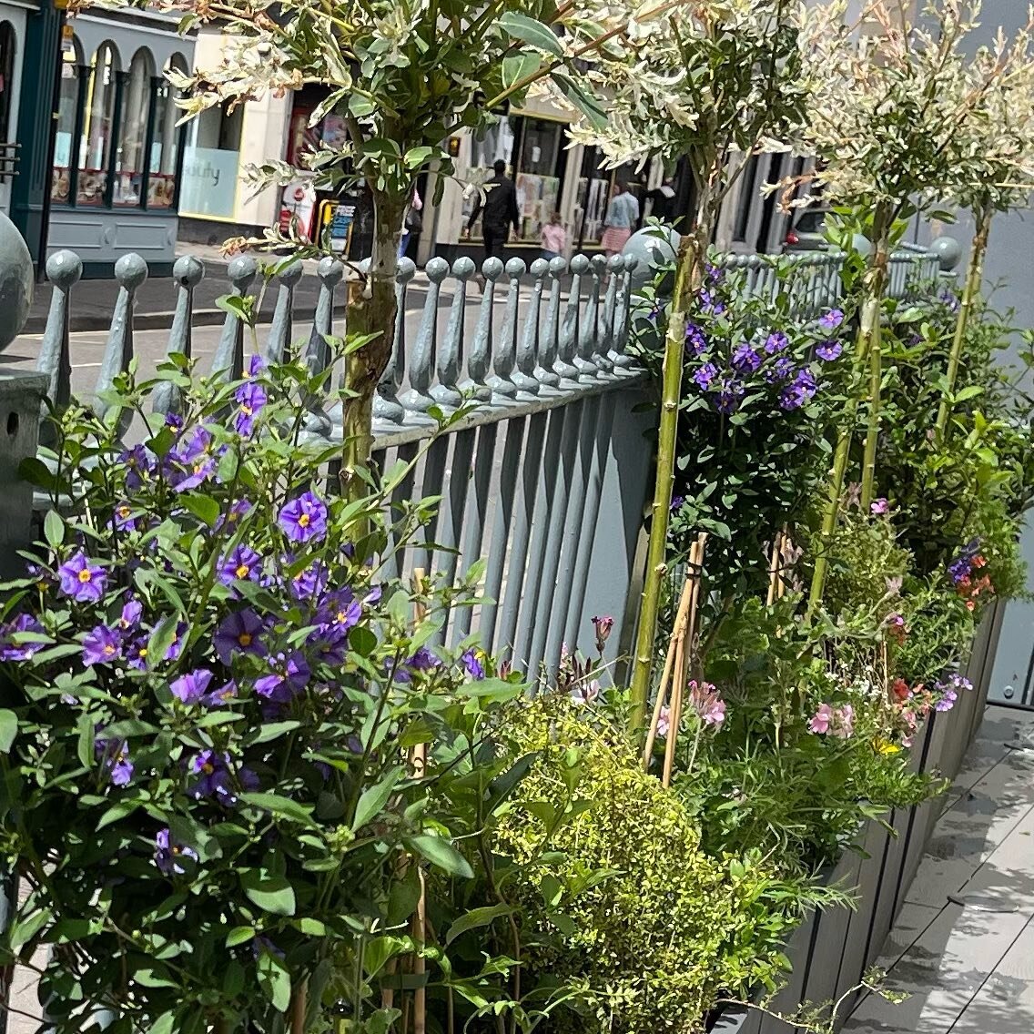 Beautiful flowers &amp; great coffee from @ethicaladdictions! The perfect combination to enjoy on our Eastgate Street sun terrace! 

#gloucester #gloucestercoffee #gloucestercafe #cafegloucester #gloucesterlocalbusiness #shoplocalgloucester #gloucest