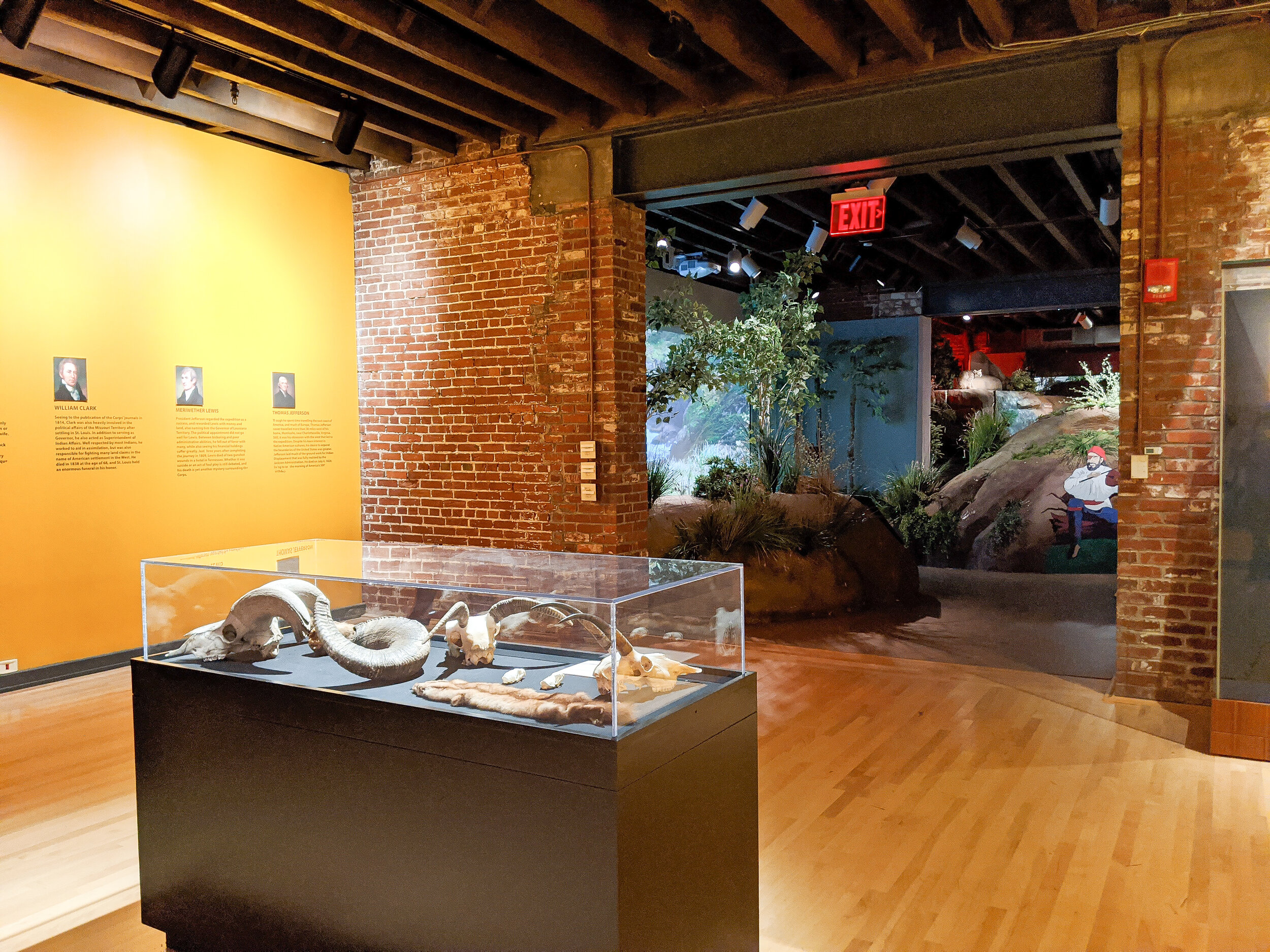 Lewis and Clark Experience