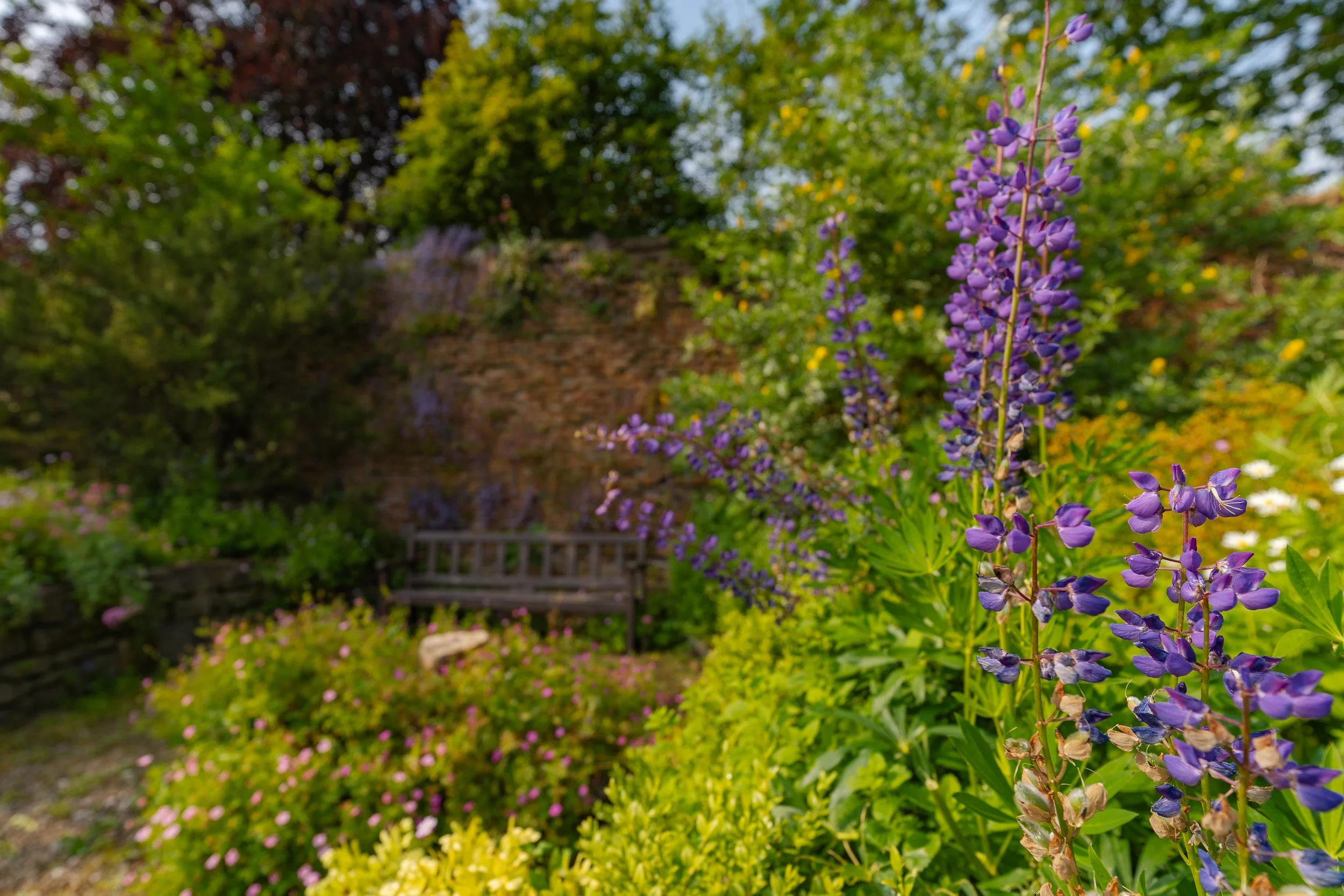 Year of Contemplation 2026: God Was There - Creation Retreat