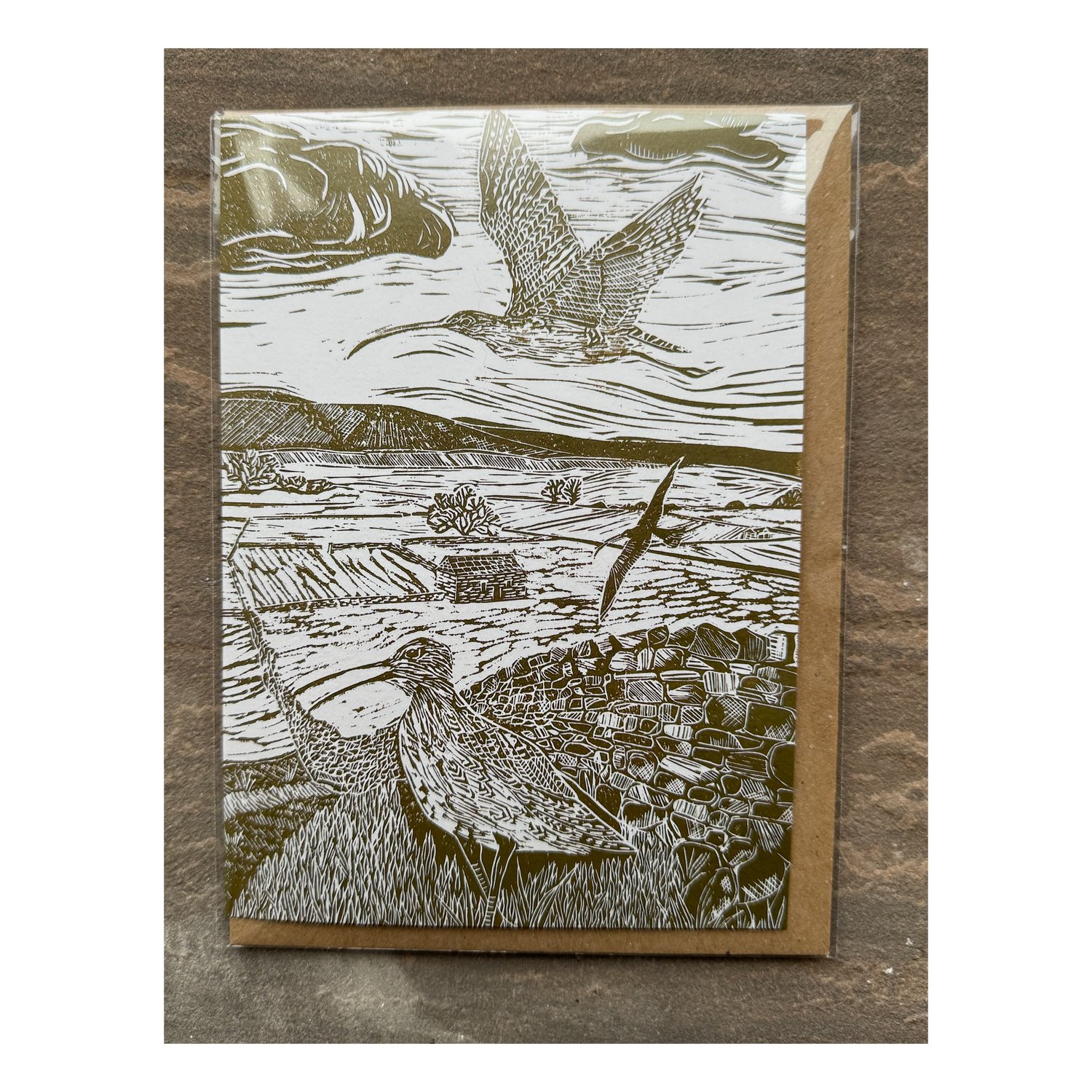 Ashford Cottage Design, Cry of the curlew, in flight greeting cards