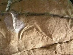 Artefacts