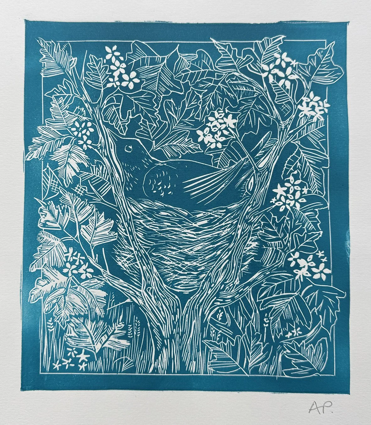 blackbird - carabean blue .jpg