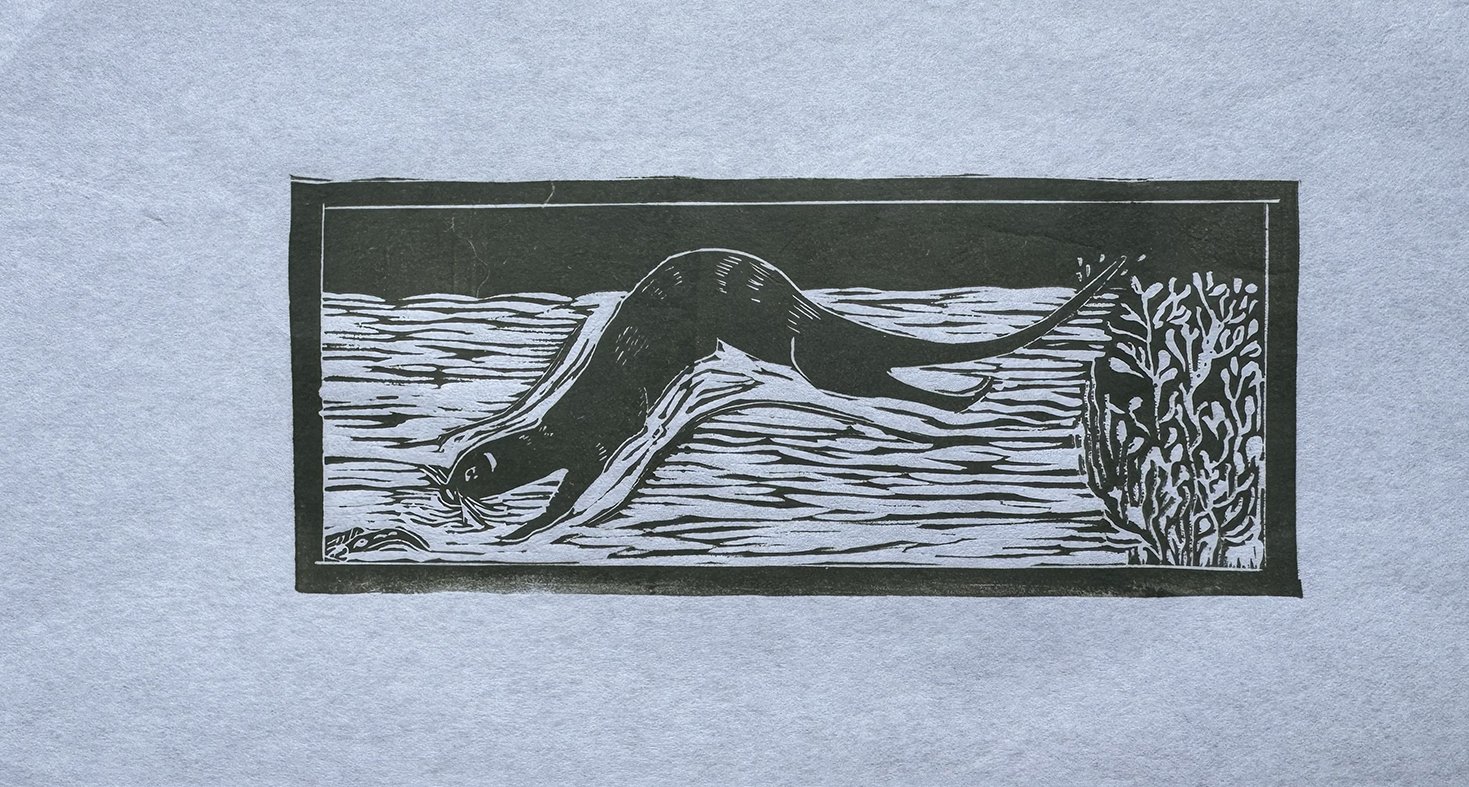 otter  copy.jpg