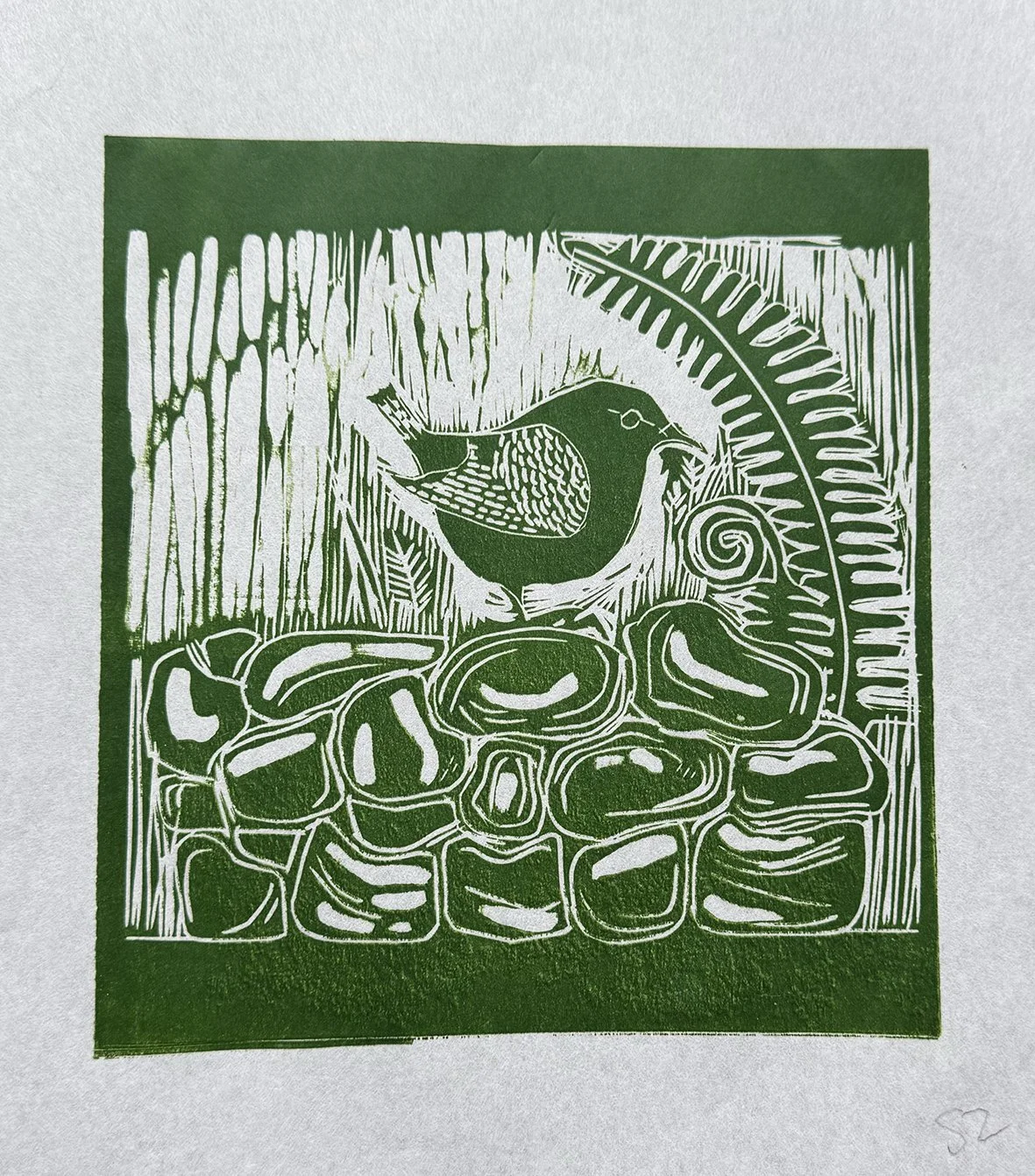 green wren .jpg