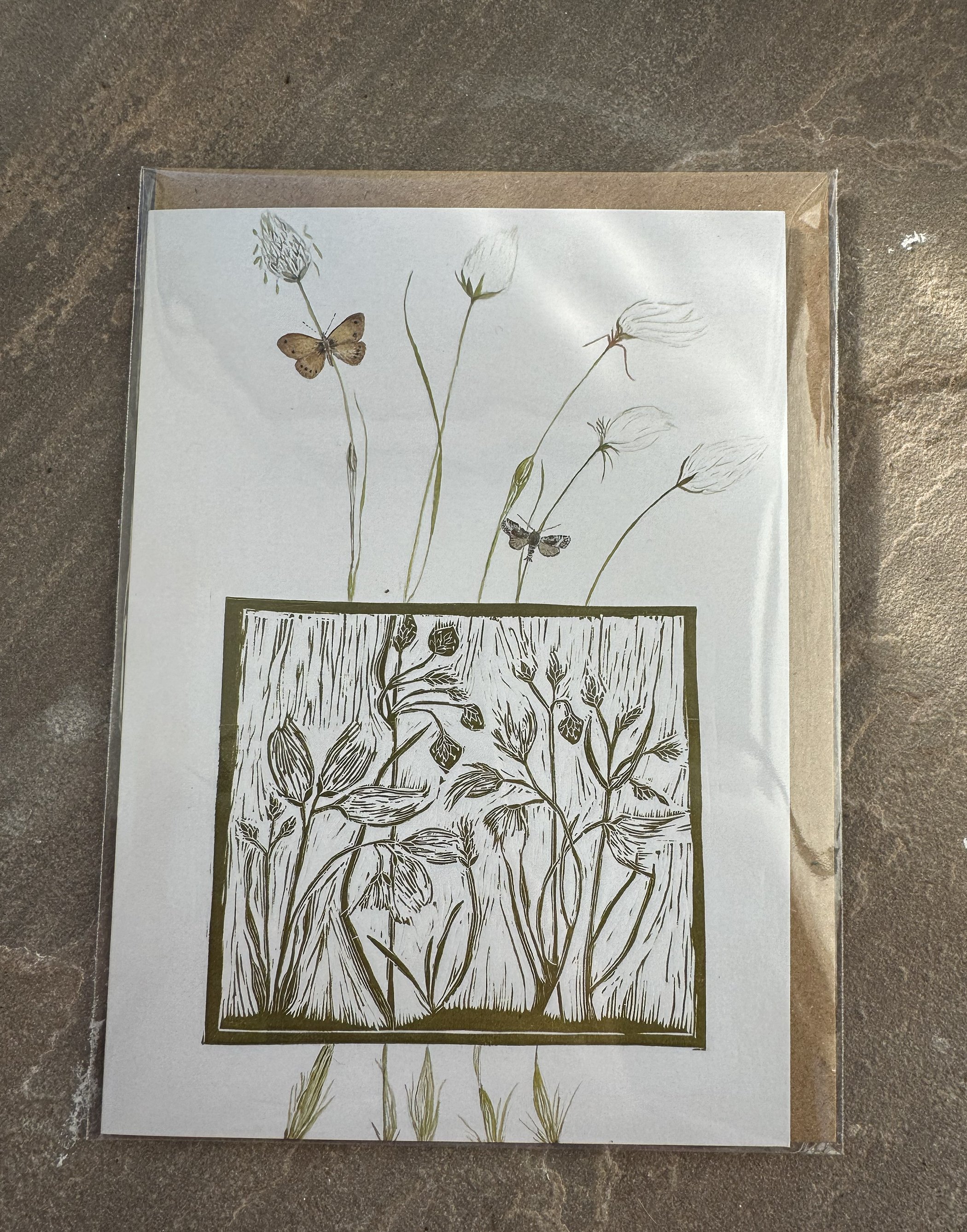 cotton grass .jpg