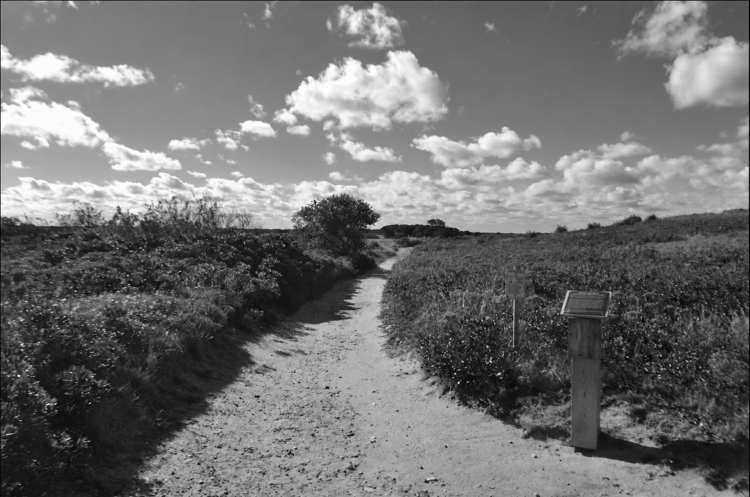 Family Trail Walk
