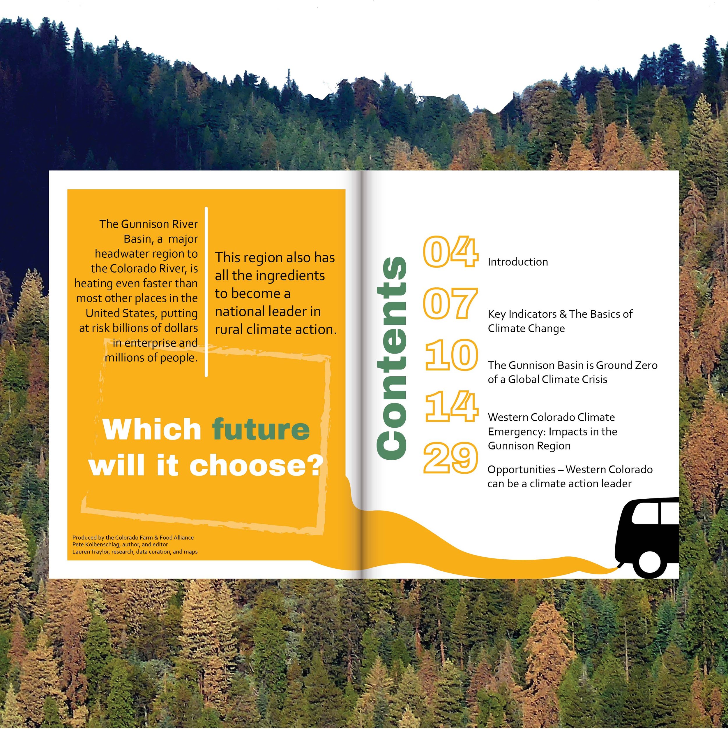 cffa_02_portfolio.jpg