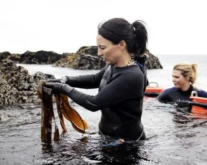 Lofoten Seaweed Company