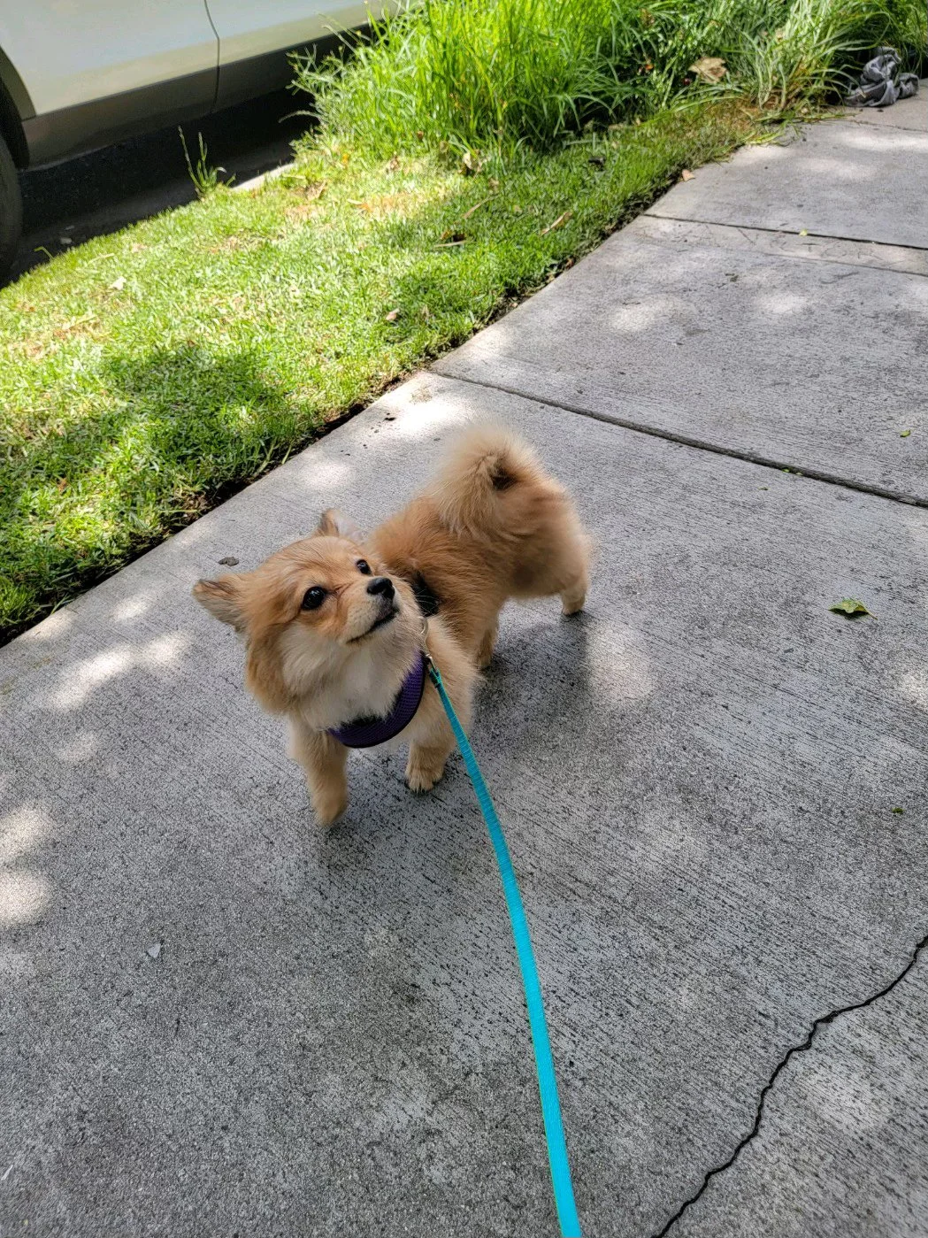 20240617_125952.jpeg