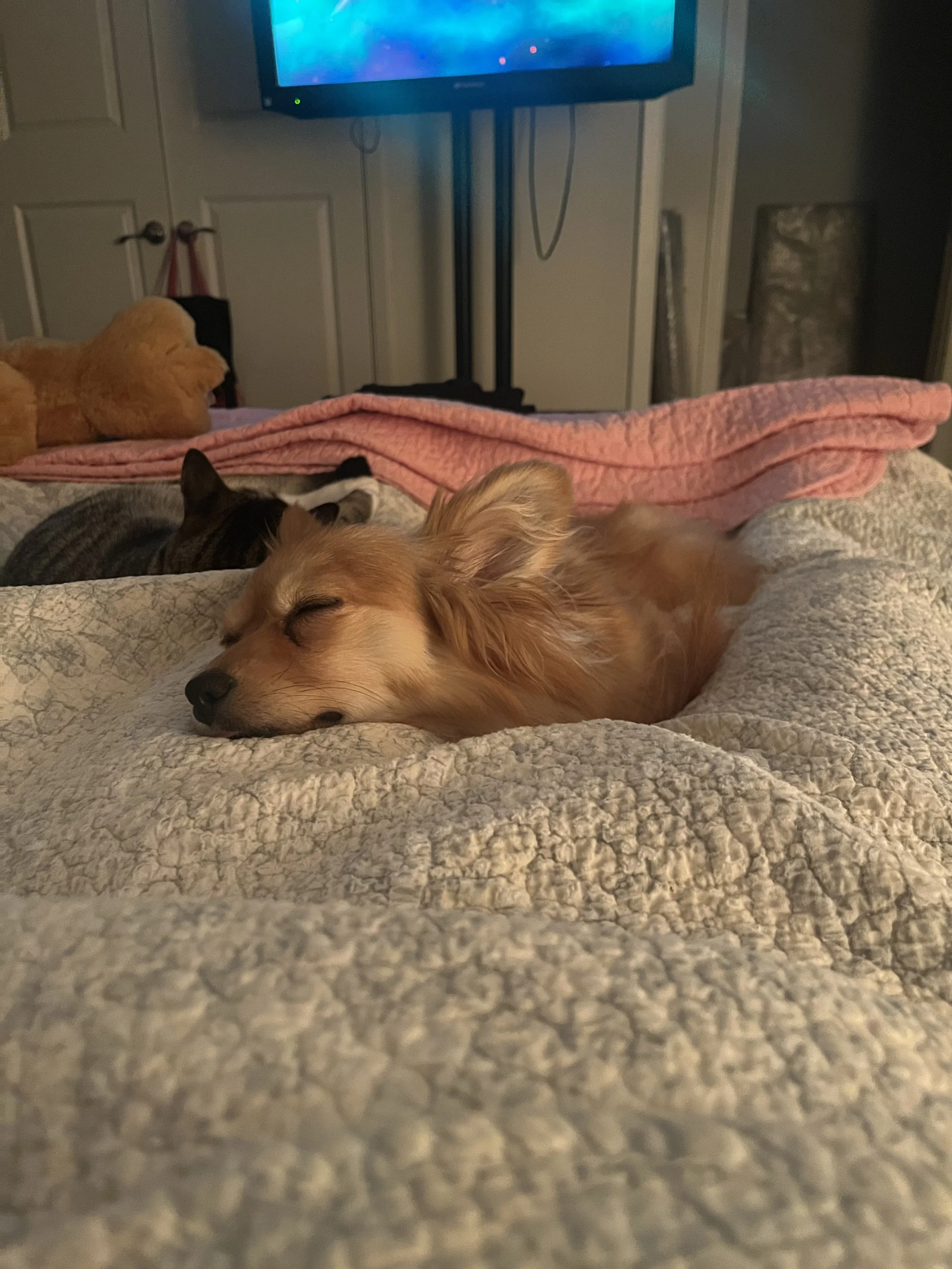 IMG_7166.jpeg