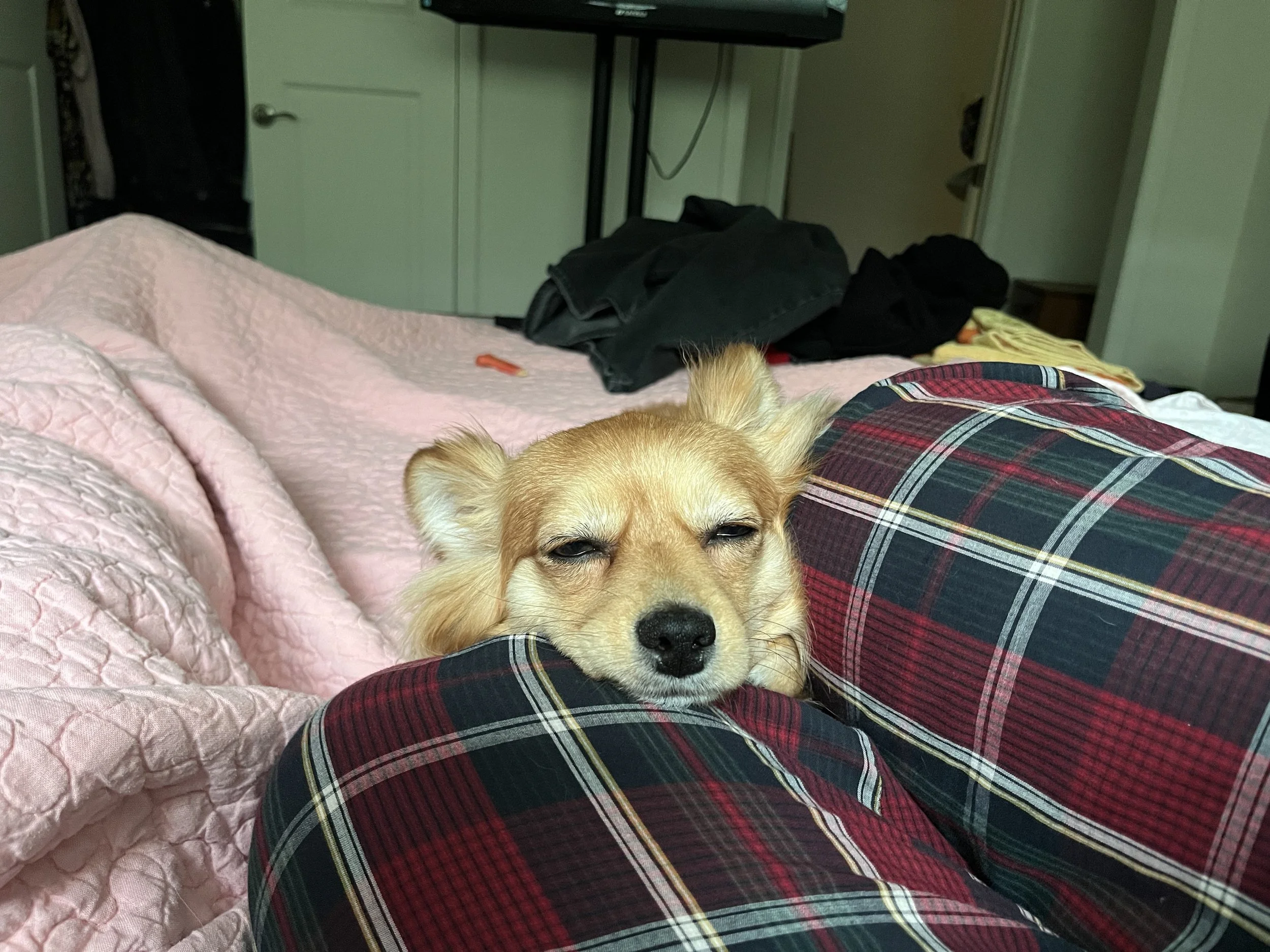 IMG_8051.jpeg