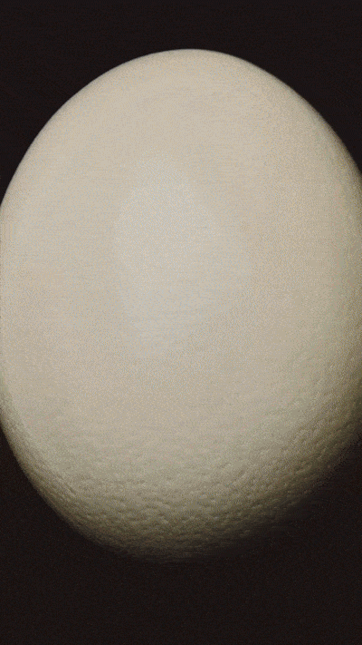 Mia Le Journal ODE ISSUE N°20