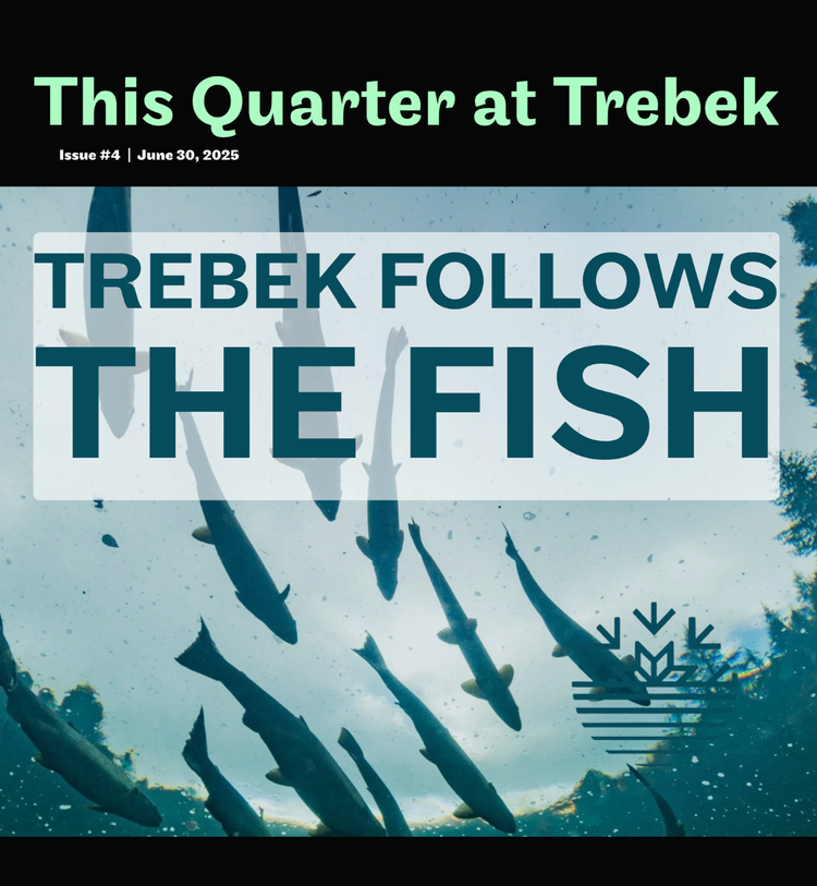 Trebek Follows the Fish