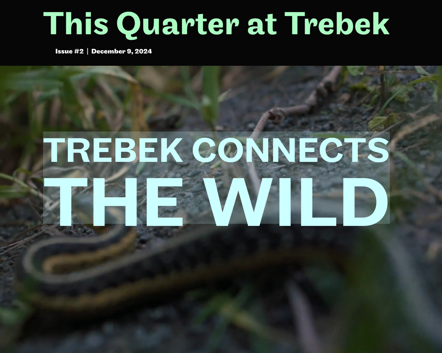 Screenshot 2025-11-14 at 2.49.56 PM.png