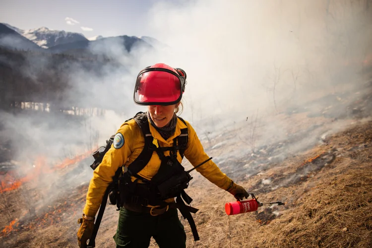 Cultural burning work in Gitanyow territory