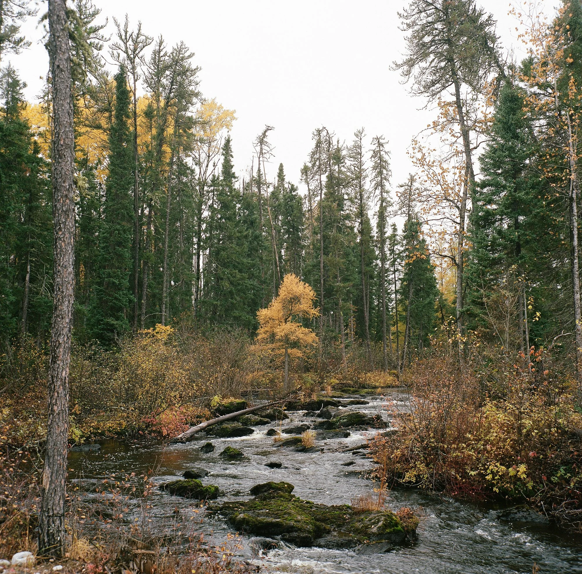 Water flows in abundance across the land, yet the residents rely on bottled and boiled water to sustain their lives. Elder Leo Moonias says that before the community was relocated in the 1990s, they “had all kinds of water."