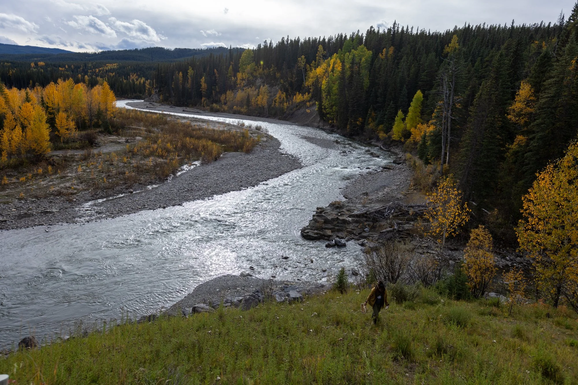 Emerging from the stream, Dalal carries the latest data, one more puzzle piece in the effort to unravel the long-term effects of logging on freshwater systems.