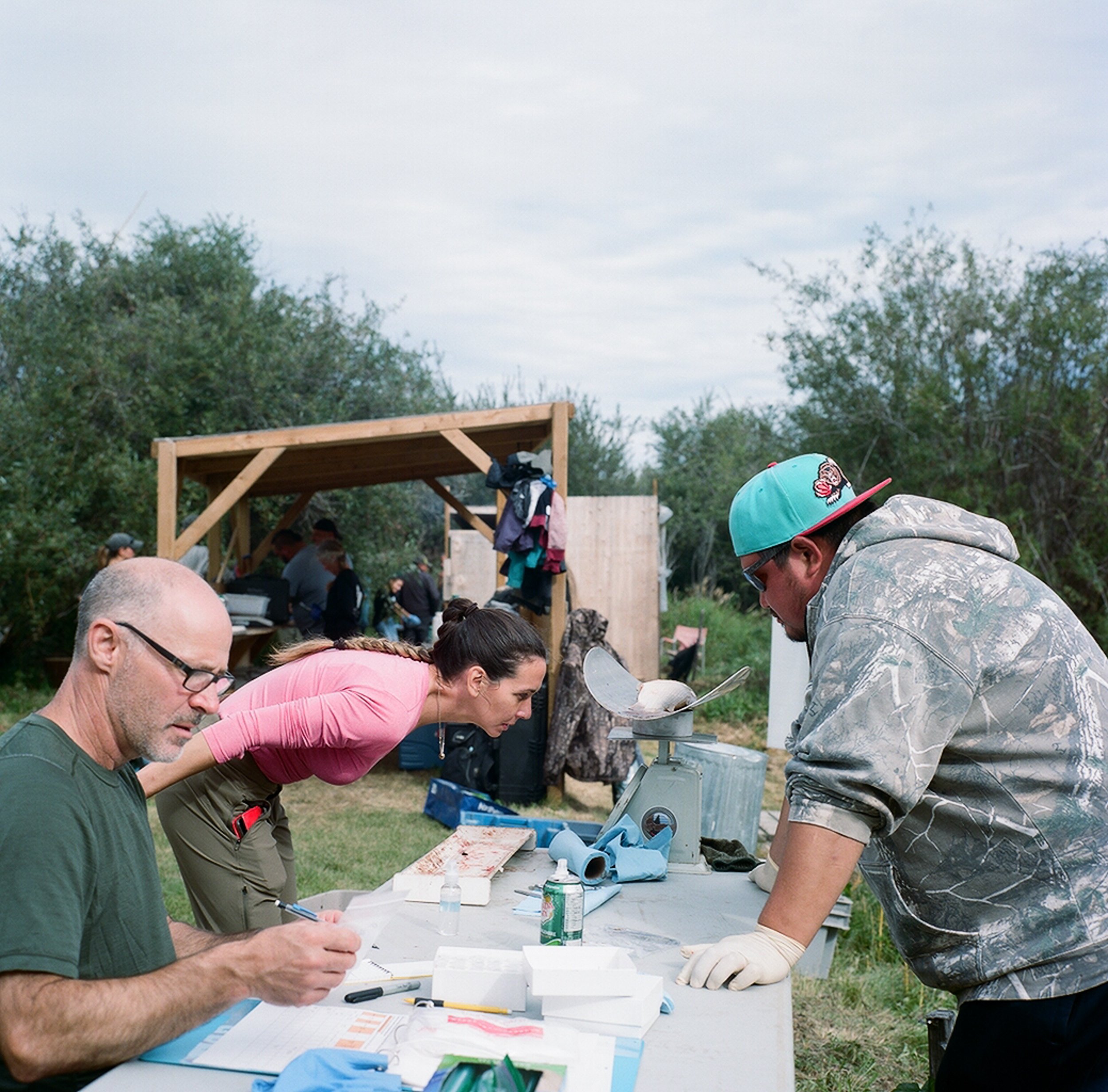 Residents of Fort Chip gather at a place known locally as Jackfish to attend a ‘fish camp’ and discuss issues facing the community. Land users, scientists, and elders gather each year to take samples of the fish and monitor the changes to the water.