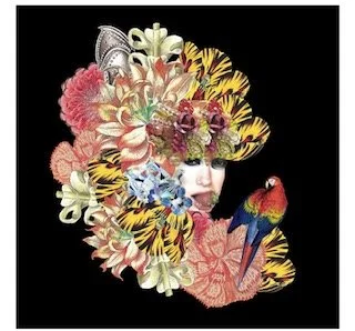 EXOTICA.
100x100 cm.
Tirage sous plexi.
Œuvre originale certifiée. 1/1
Prix sur demande.