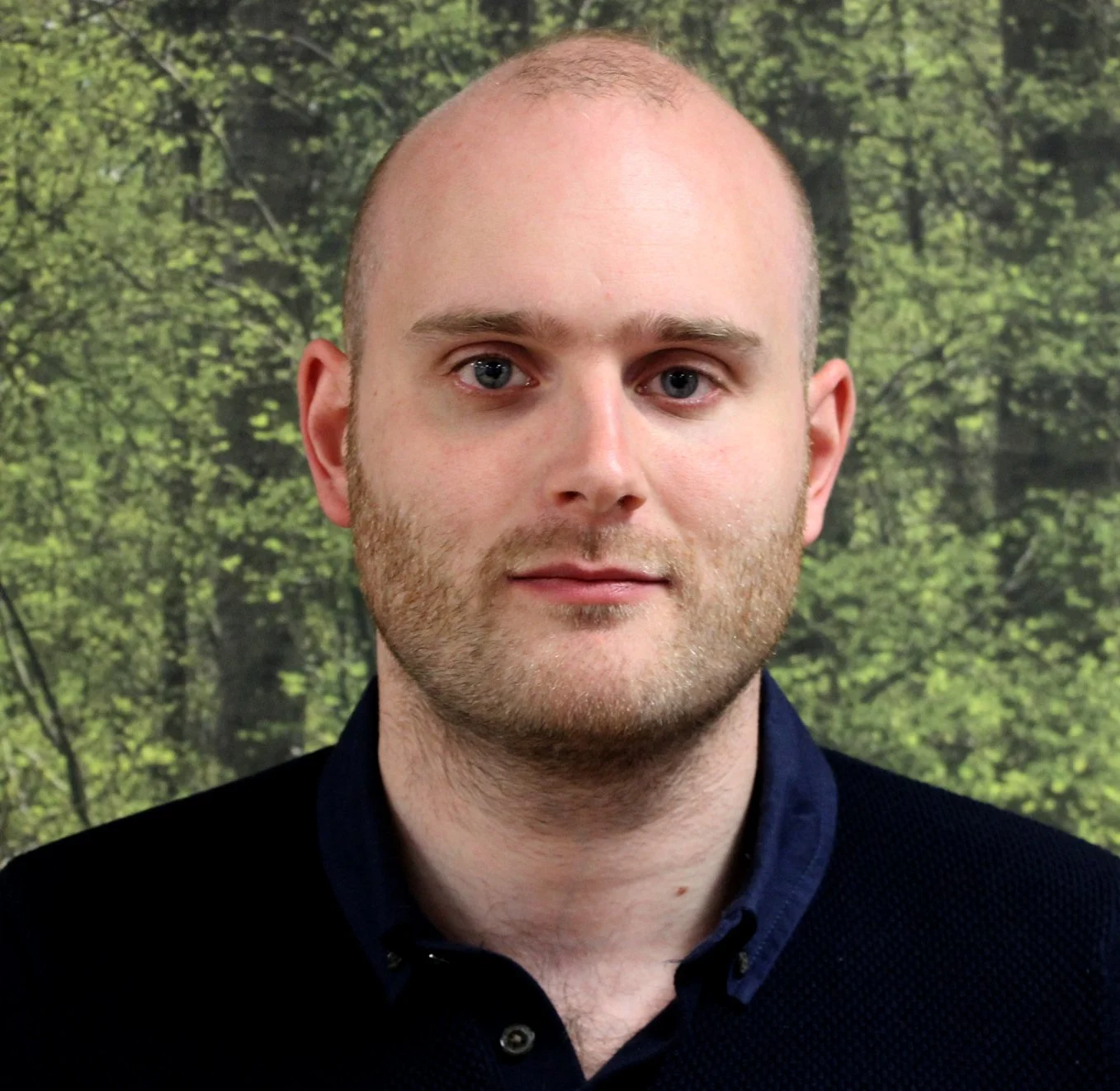 Noel Brown - Film, TV And Animation Scholar. Professor Of Film In Liverpool. Author Of 8 Books, Mainly On Children's Films. Expert On The Beatles' "Yellow Submarine" Film!