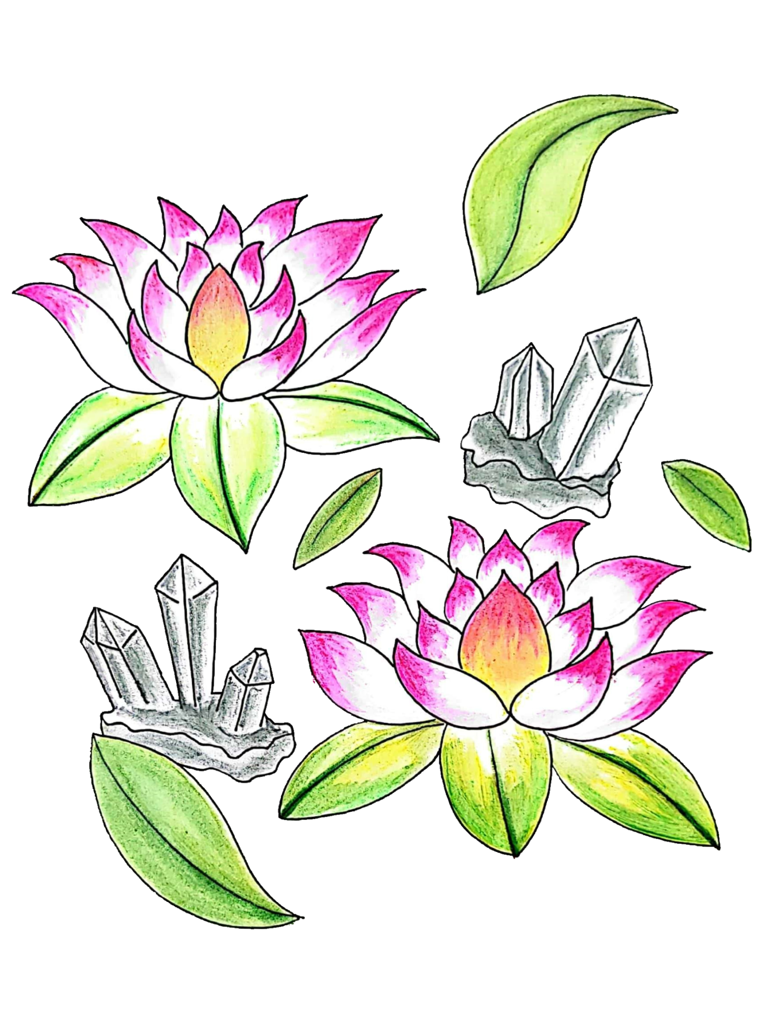 7/12/23, "Lotus Study #1"