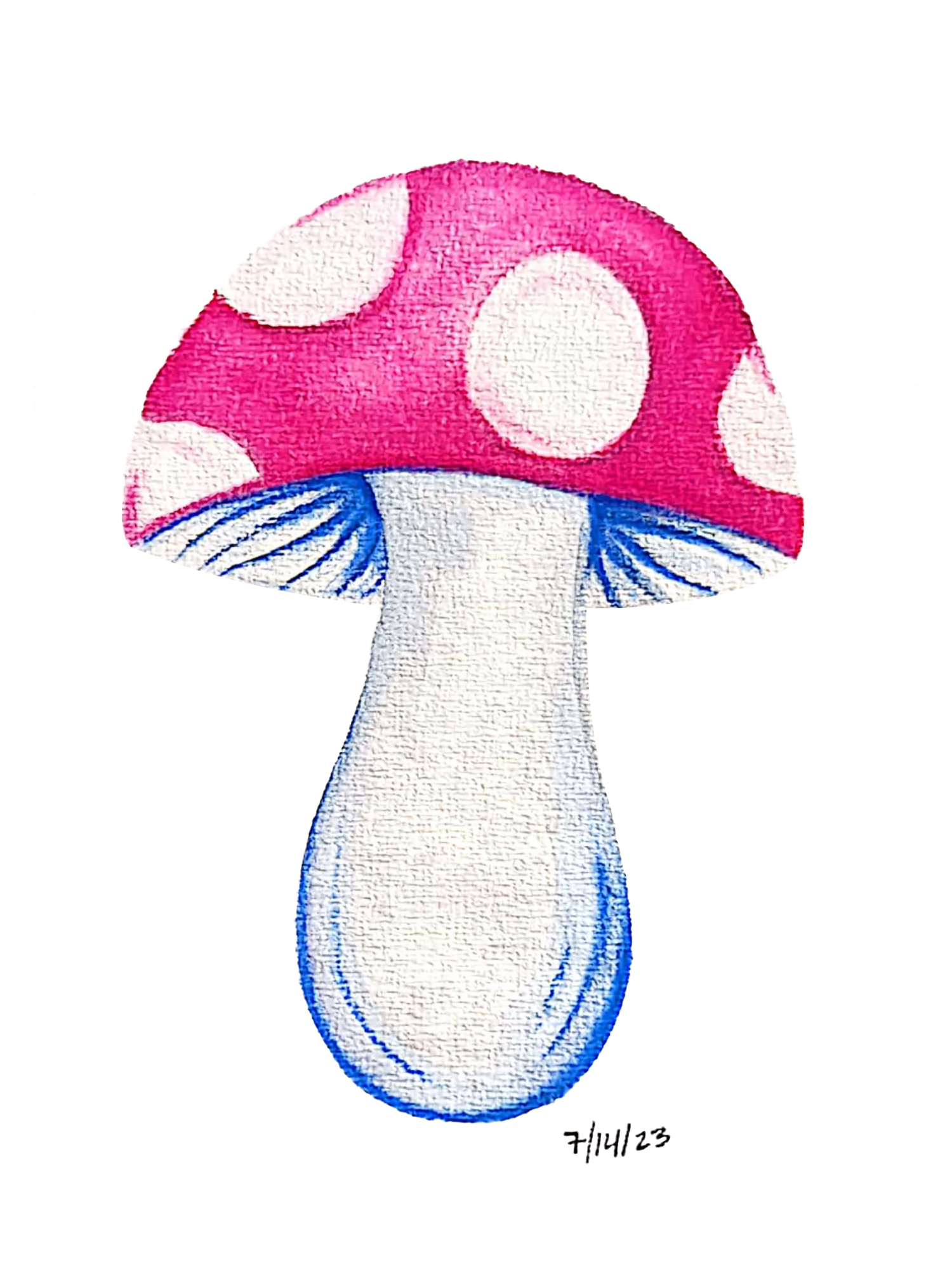 7/14/23, "Fluffy Mushy"