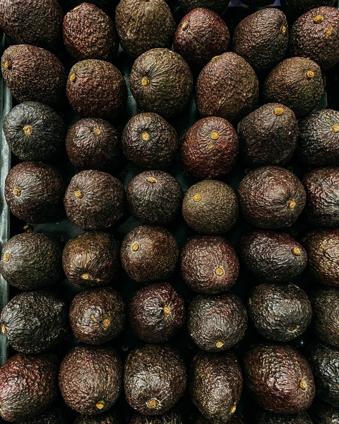 If you are looking to offer the best avocados in your business....

Contact us to be your suppliers of the best avocados
📲 Sales: Sale: (805) 835 6162
📩 Mail: info@ricosavocados.com

#ricosavocados #avocados #freshproducersupplier #avocadosuppliers