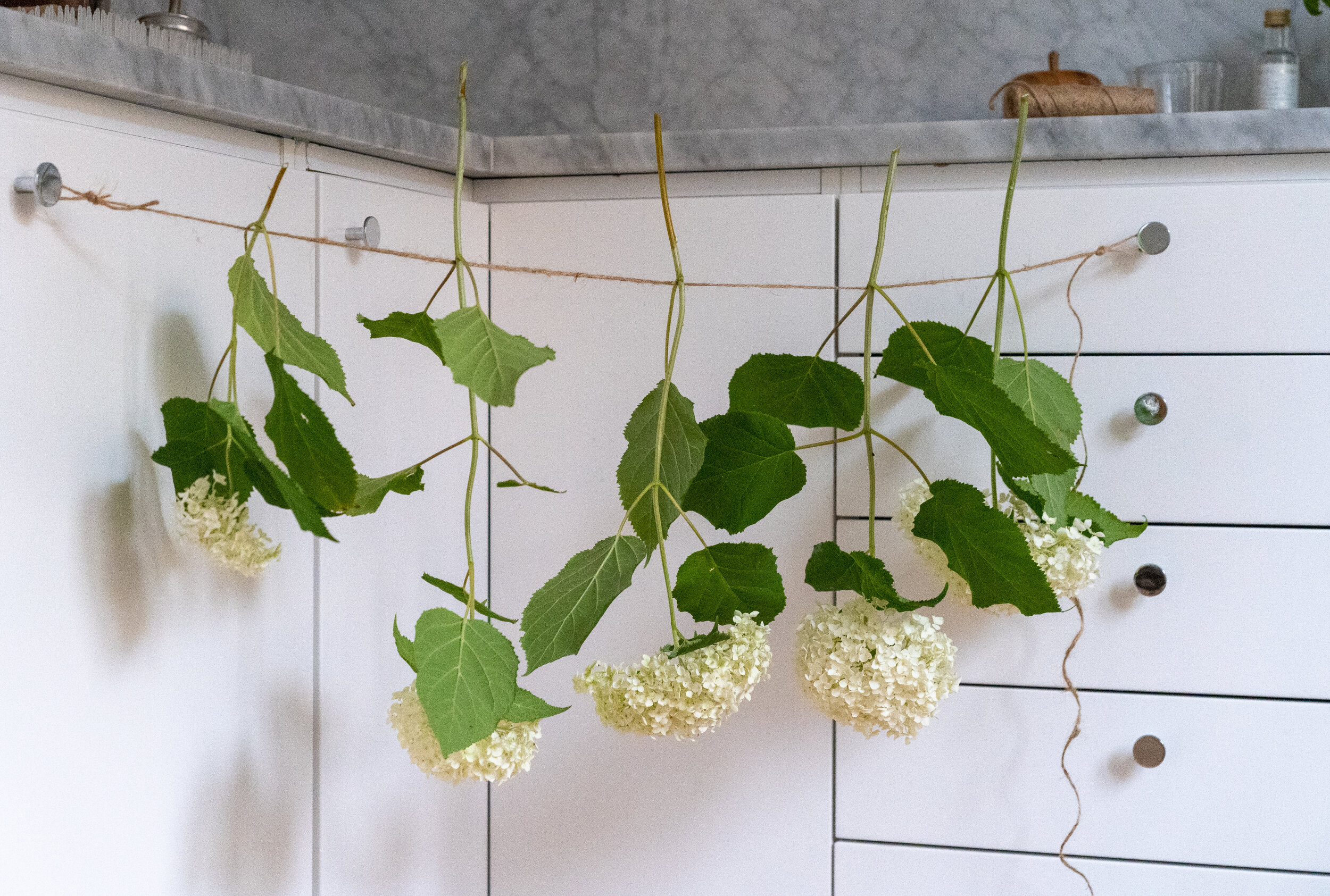 hydrangeas-hung-1.jpg