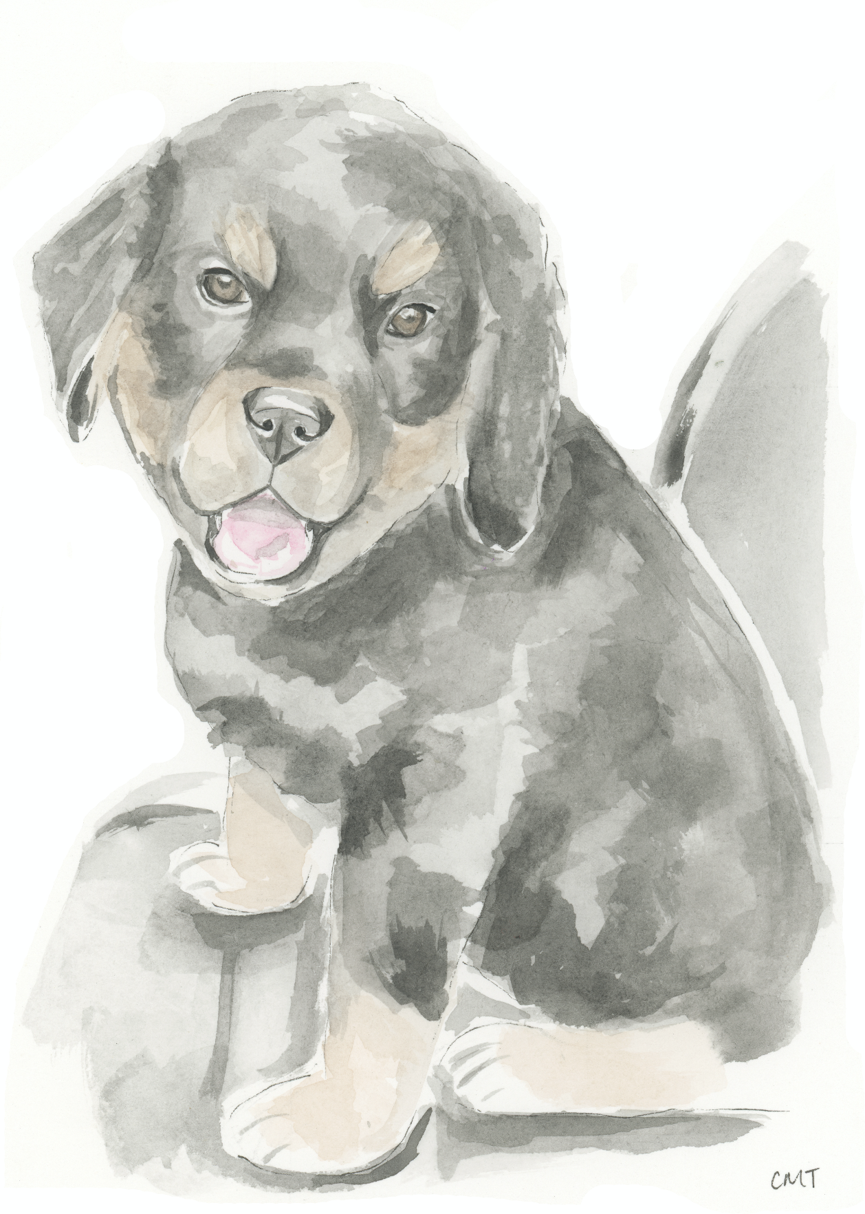 Screen Shot 2022-02-07 at 5.32.27 PM.png