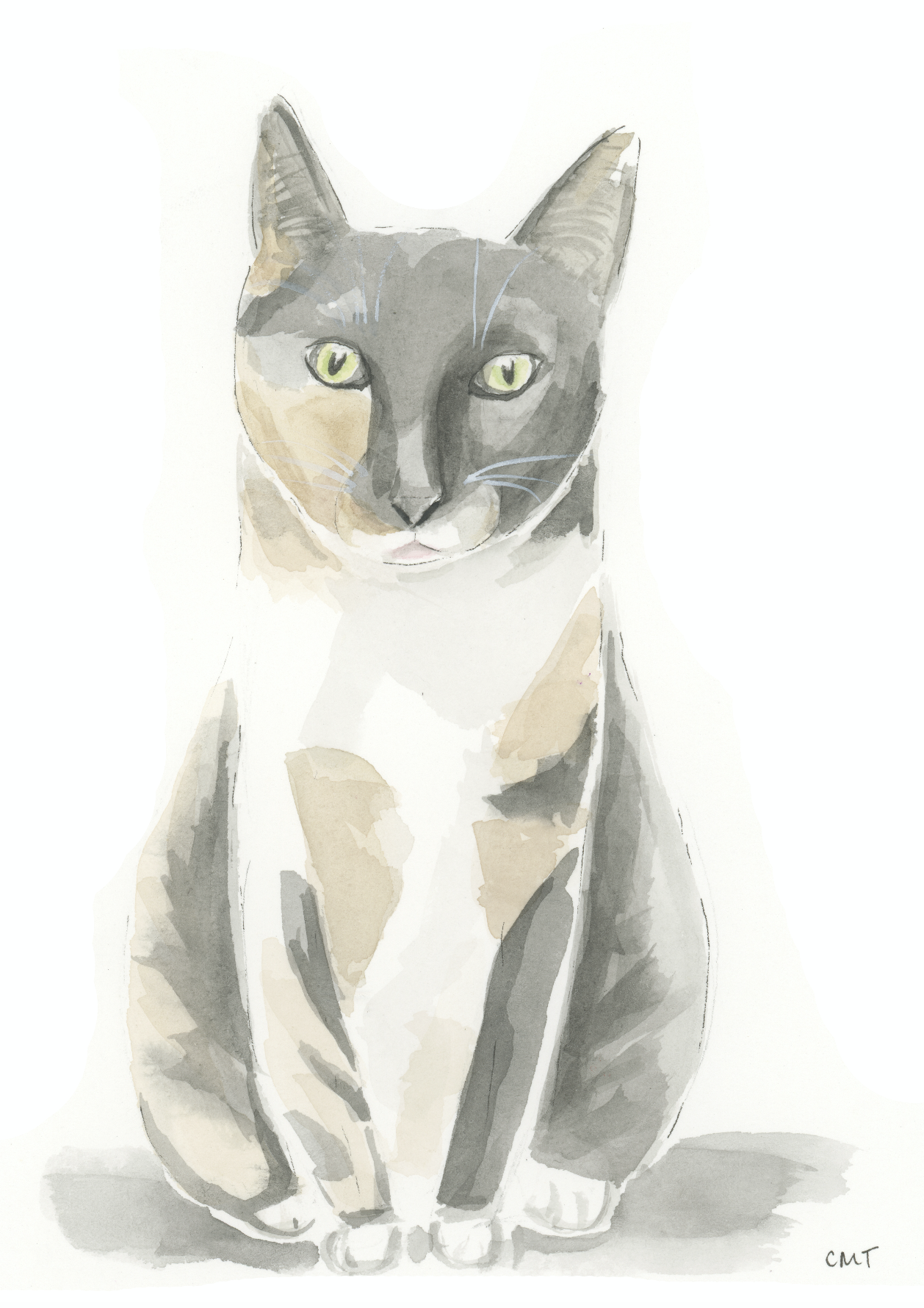 Screen Shot 2022-02-07 at 5.32.05 PM.png